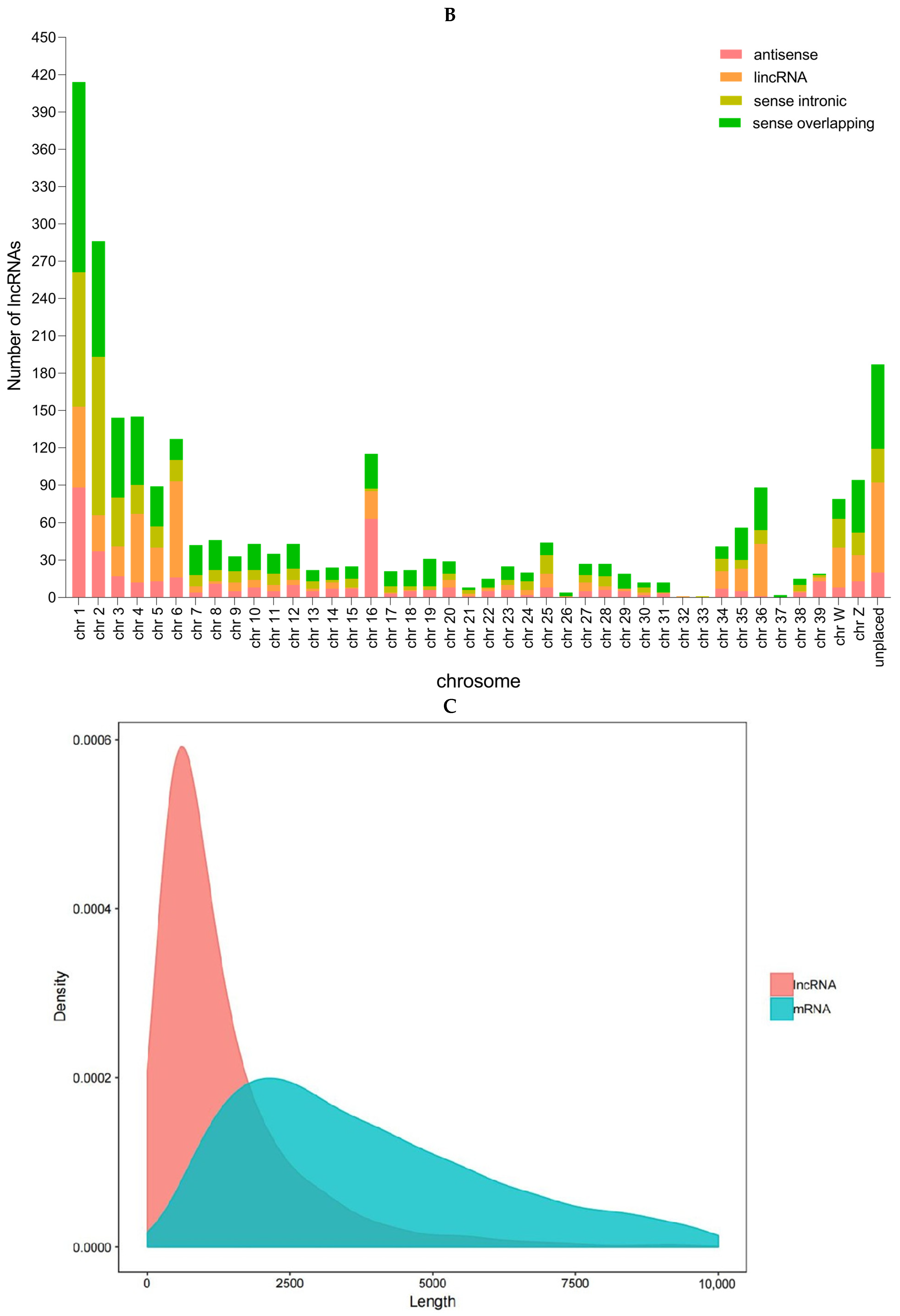 Microorganisms 12 00971 g001b