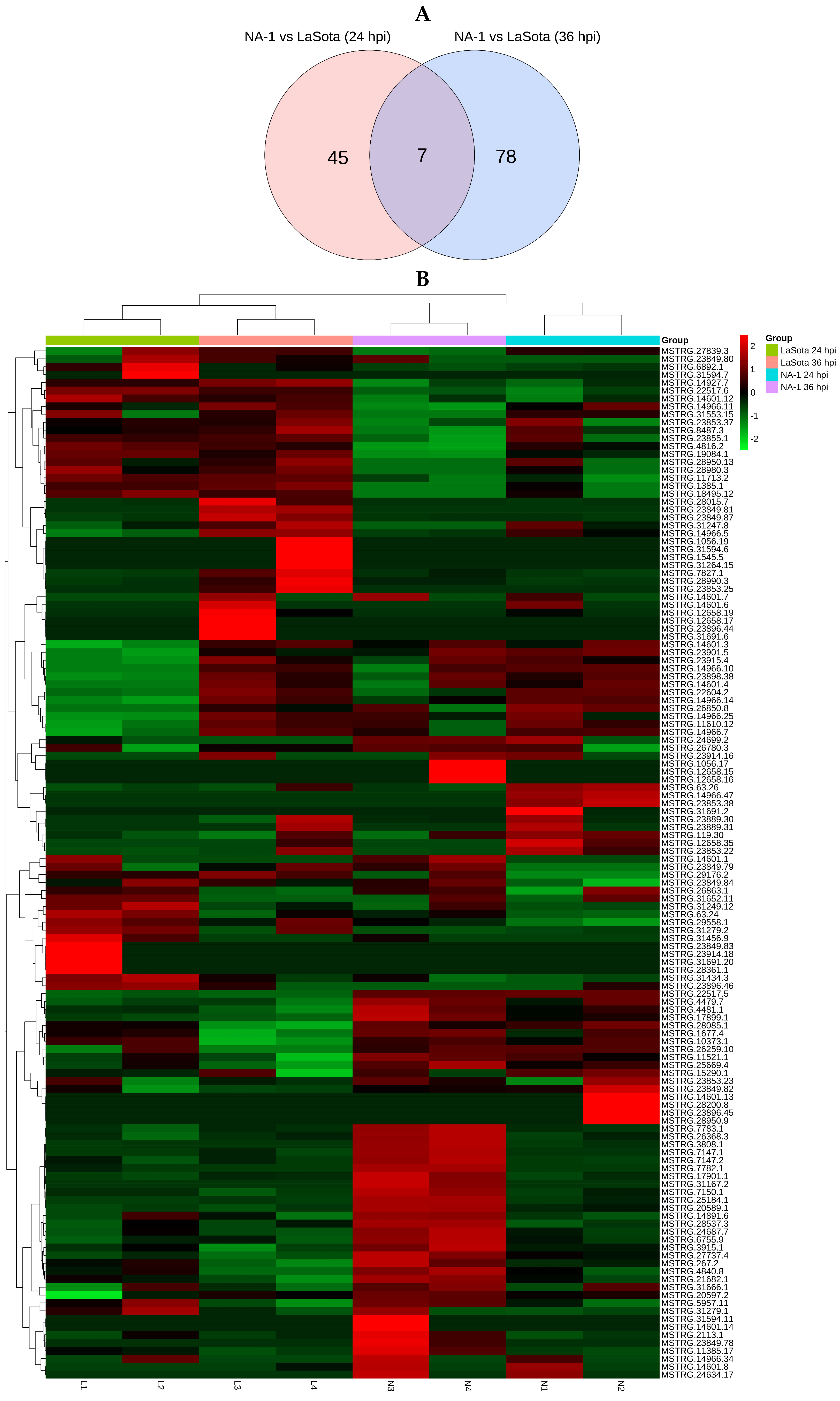 Microorganisms 12 00971 g002a