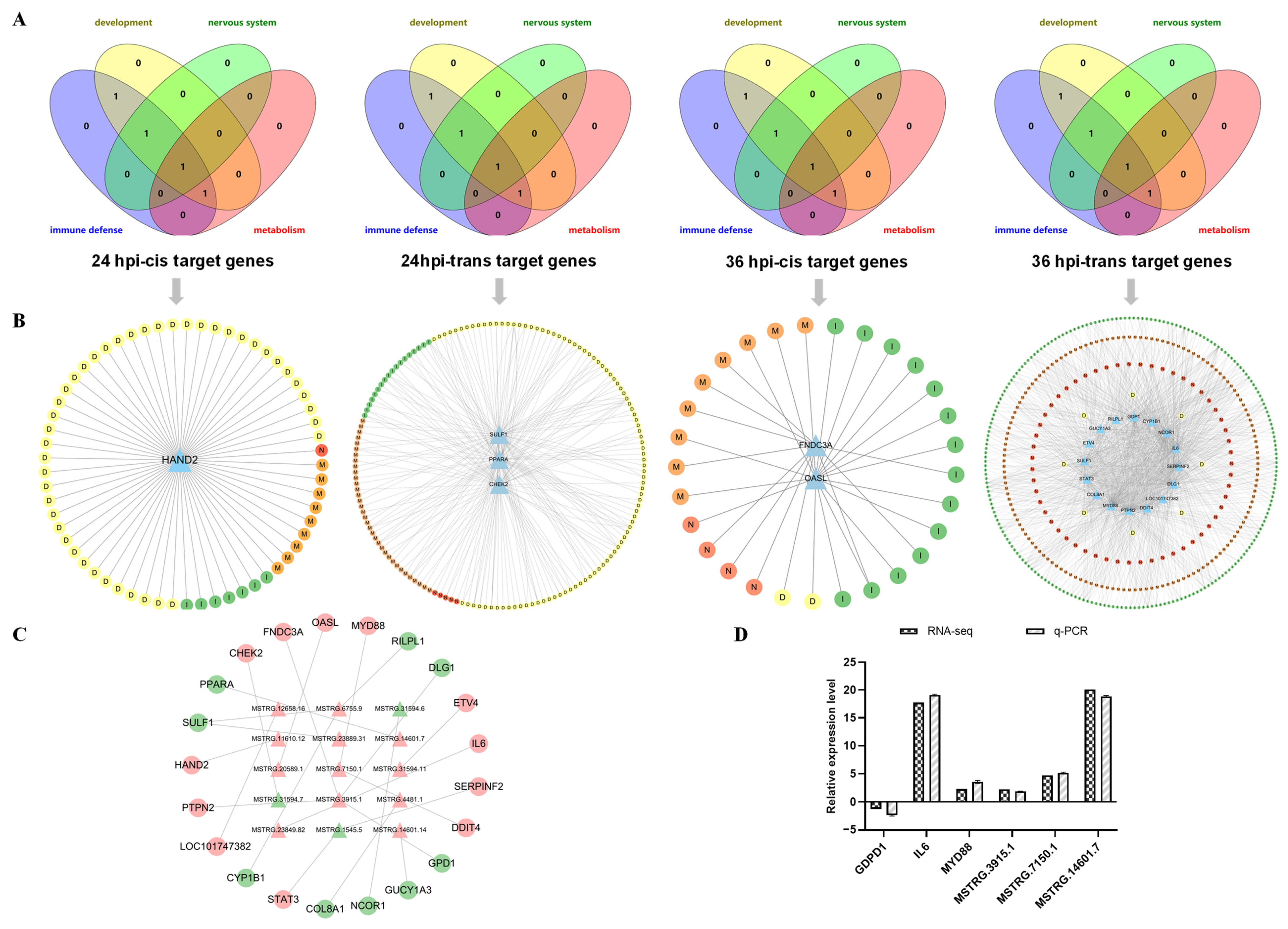 Microorganisms 12 00971 g006