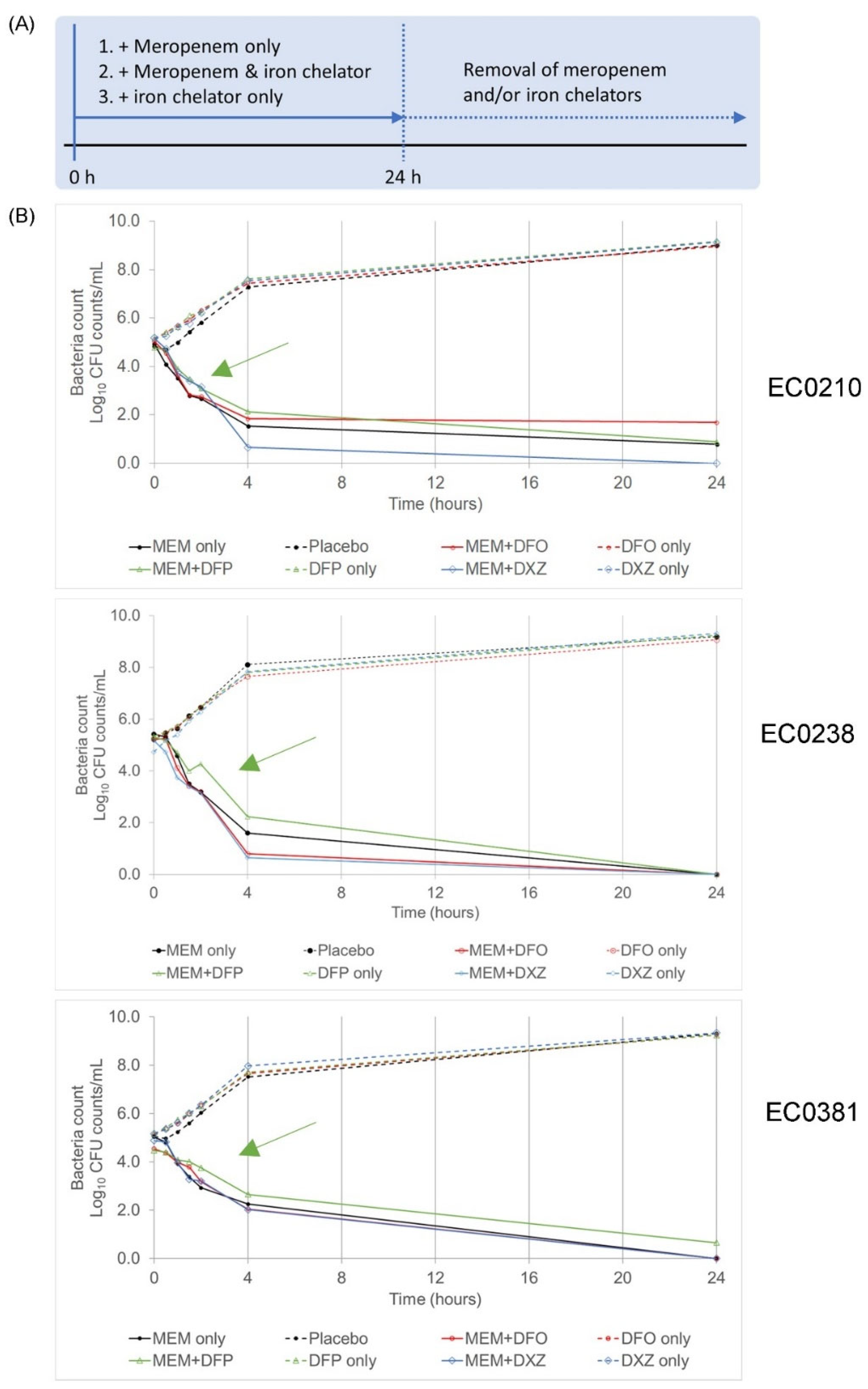 Microorganisms 12 00972 g001