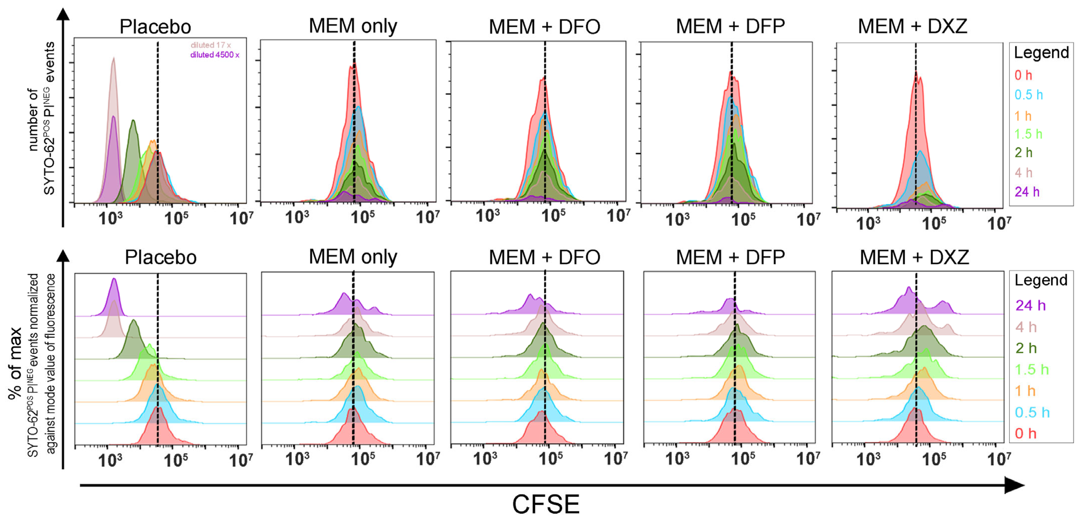 Microorganisms 12 00972 g002