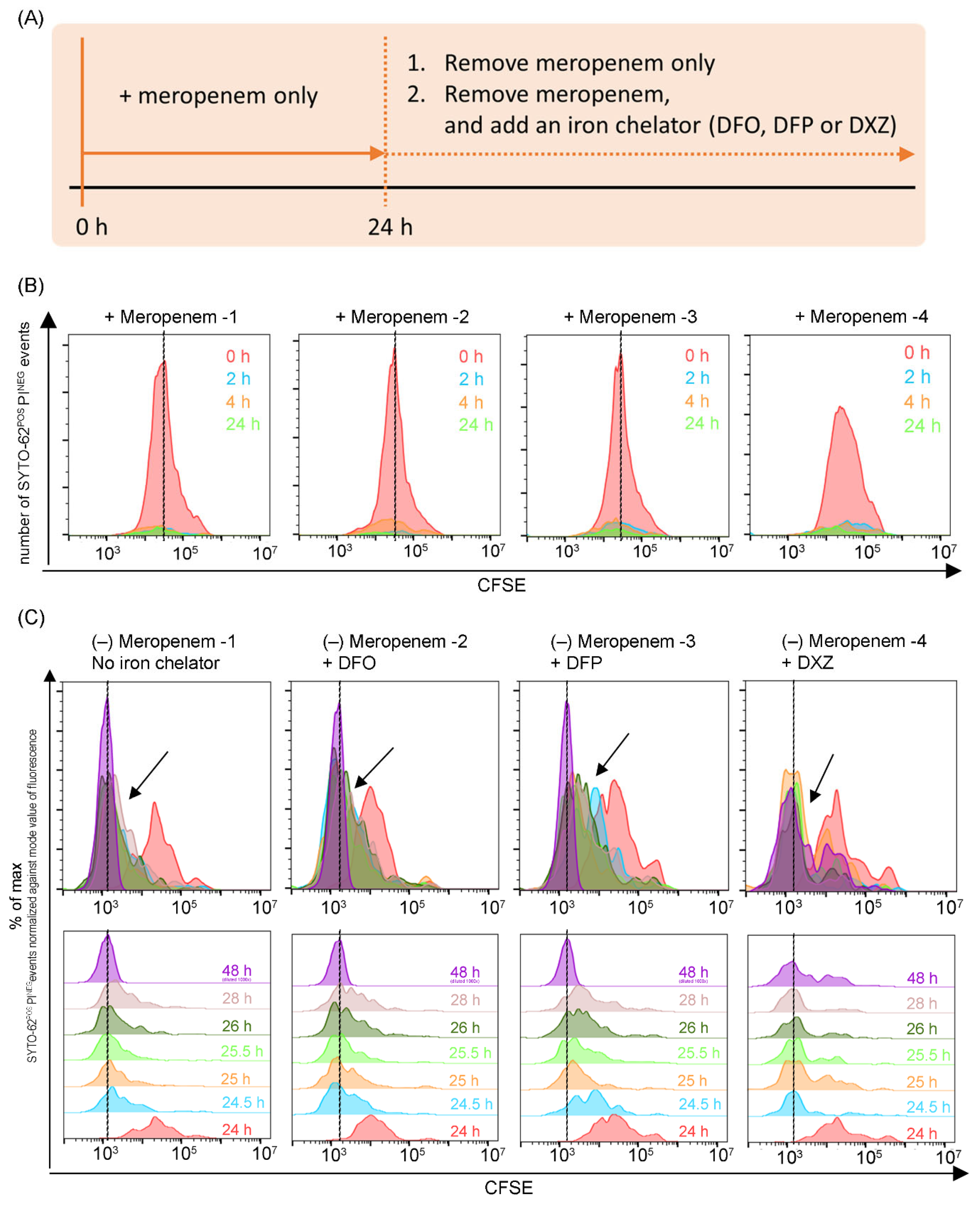 Microorganisms 12 00972 g003