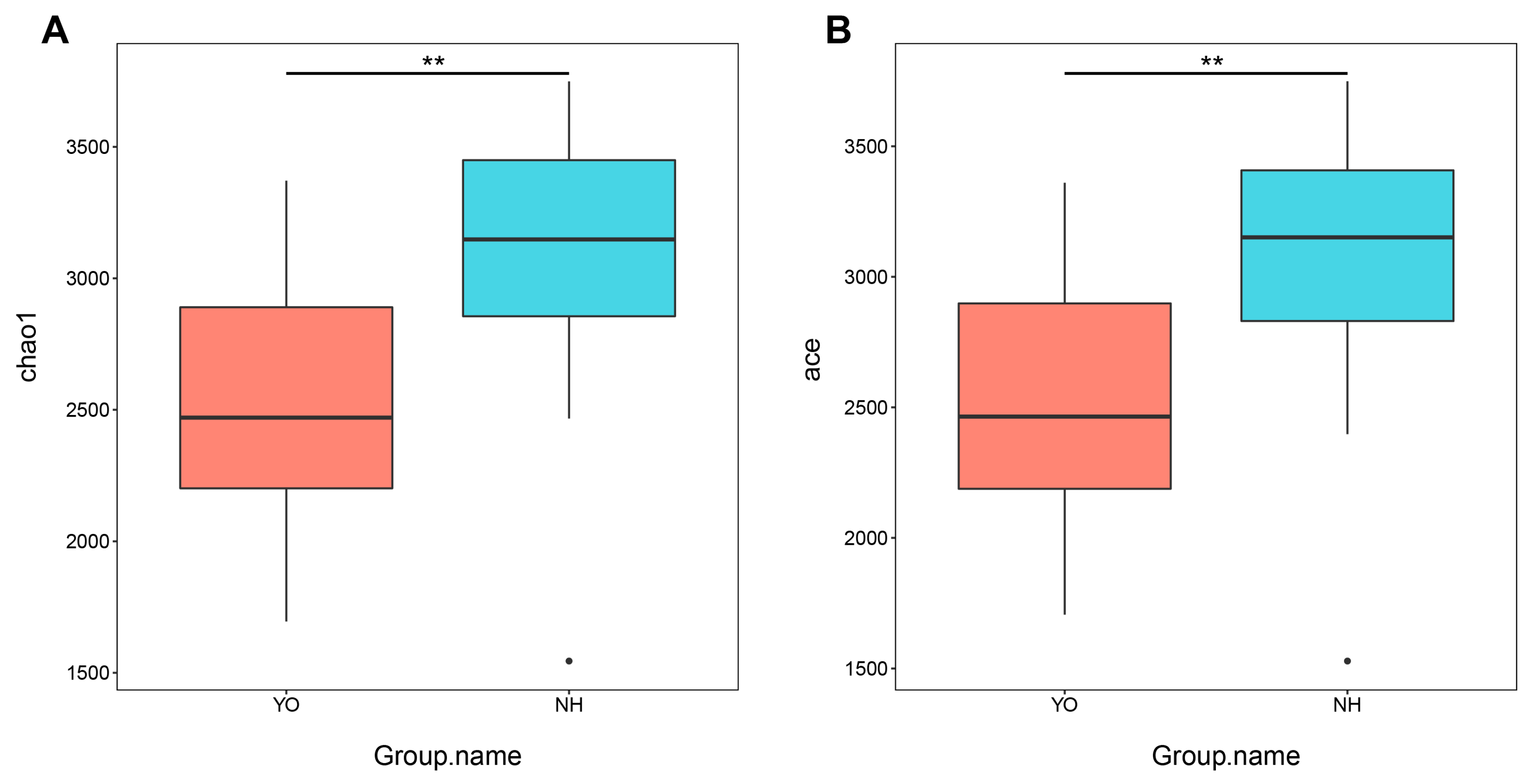 Microorganisms 12 00978 g001