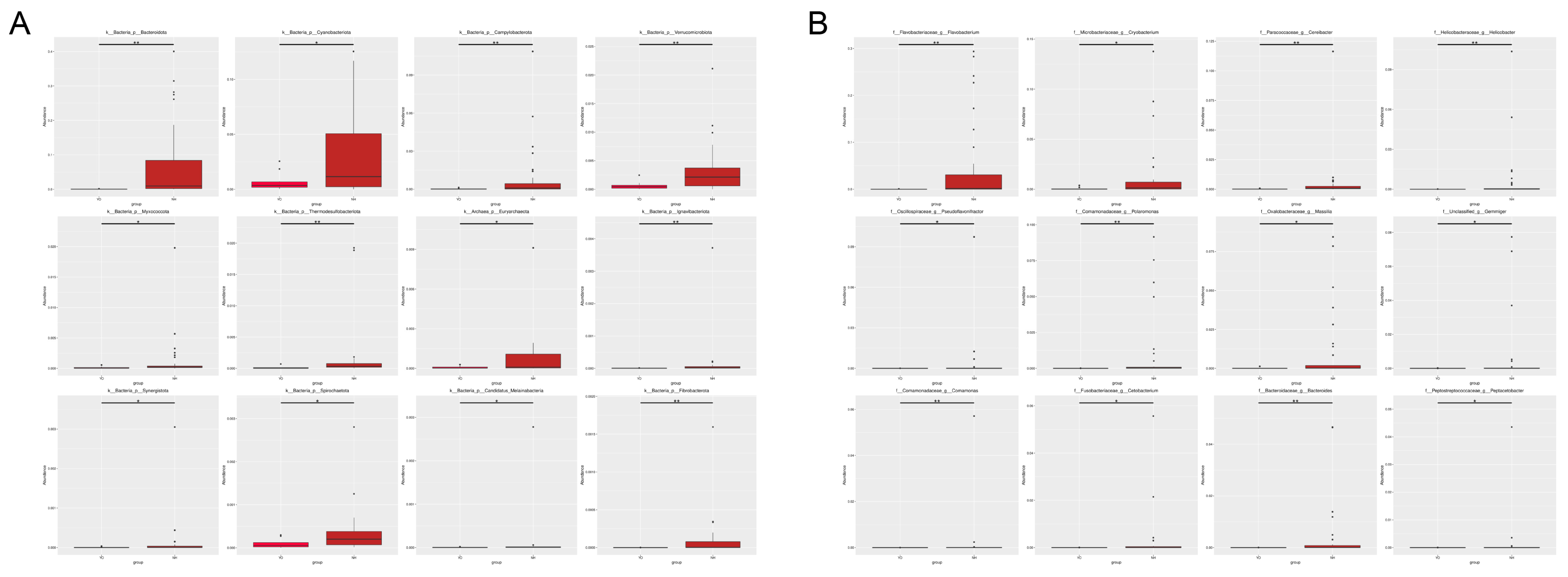 Microorganisms 12 00978 g004