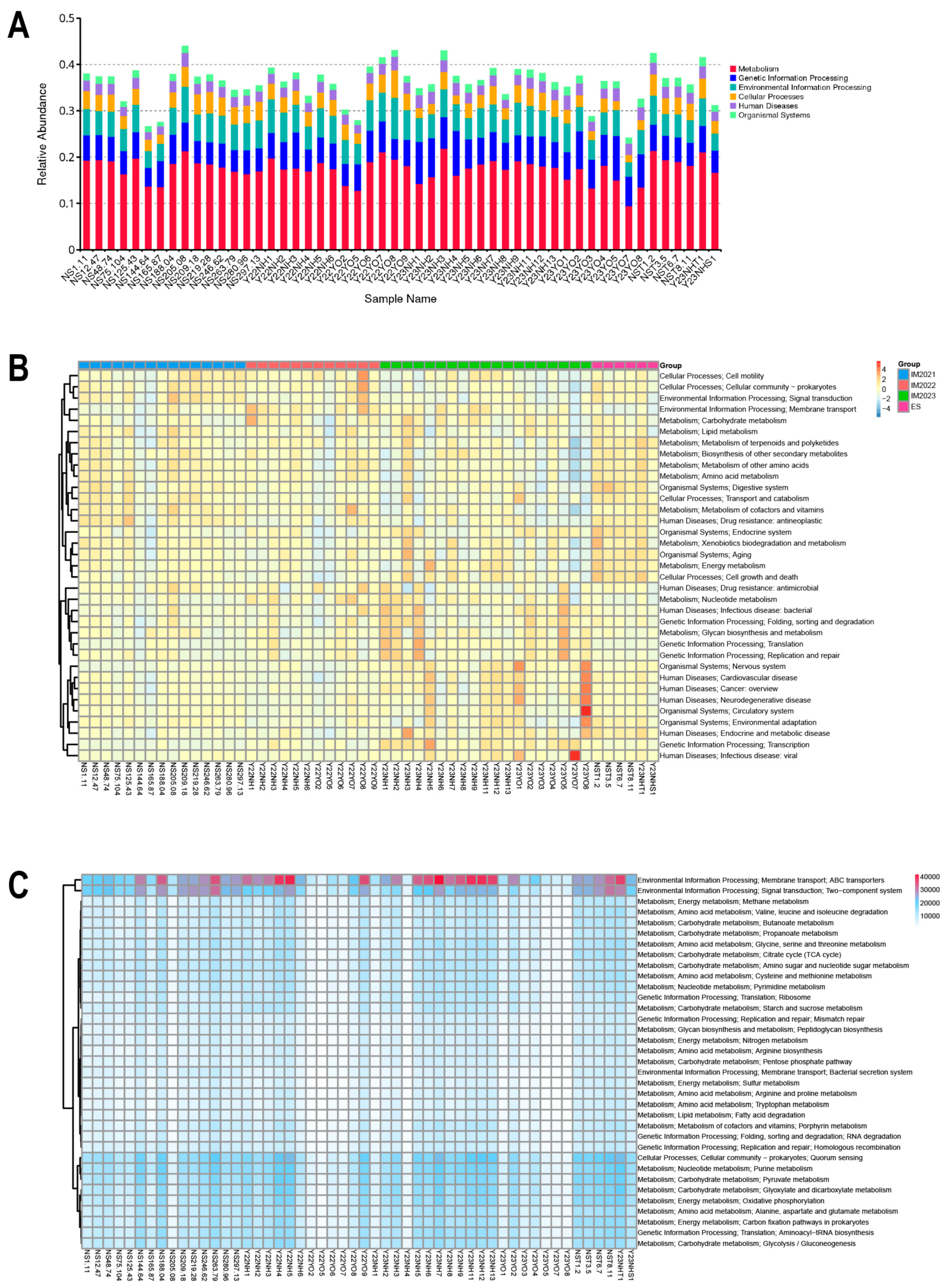 Microorganisms 12 00978 g007