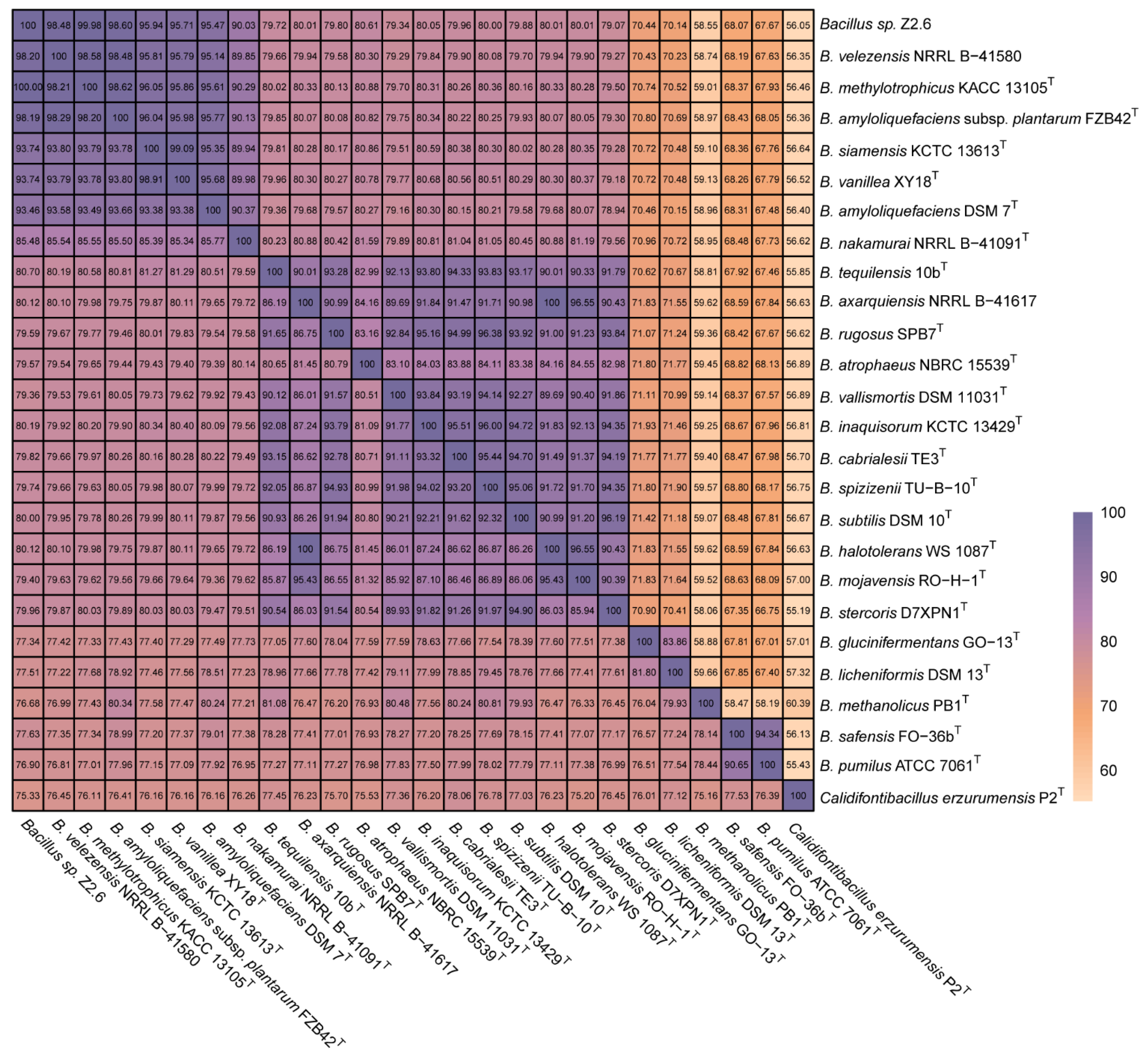 Microorganisms 12 00979 g002