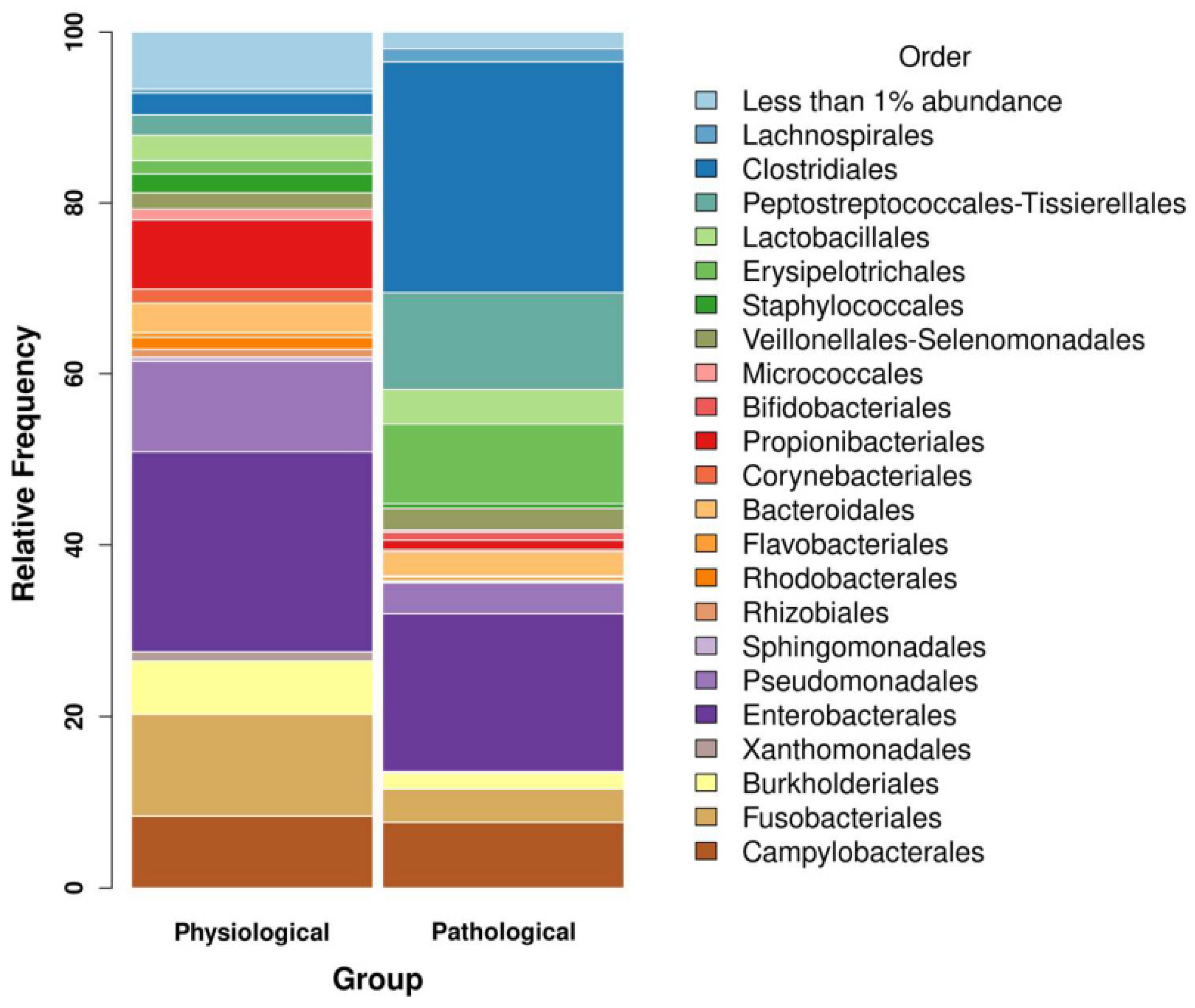 Microorganisms 12 00981 g001