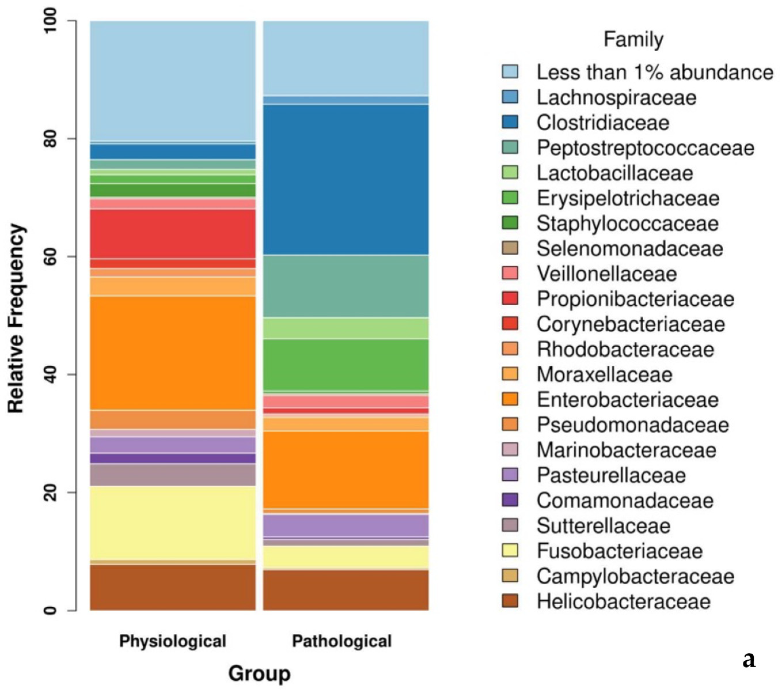 Microorganisms 12 00981 g002a