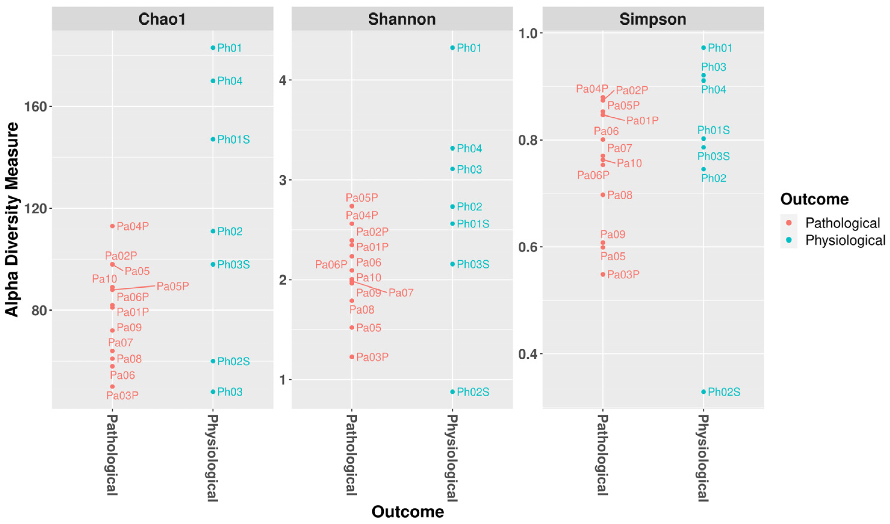 Microorganisms 12 00981 g003
