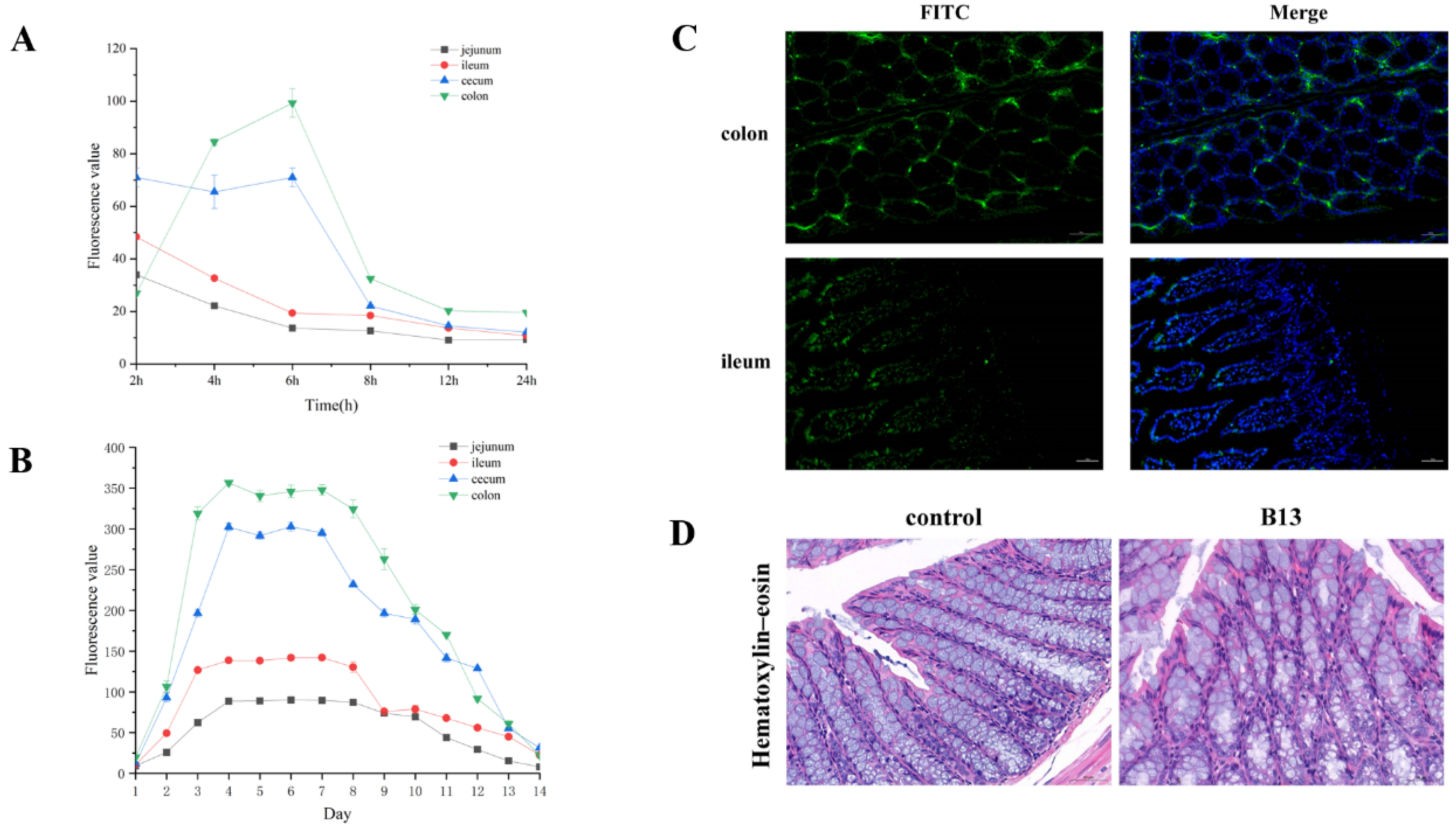Microorganisms 12 00994 g003