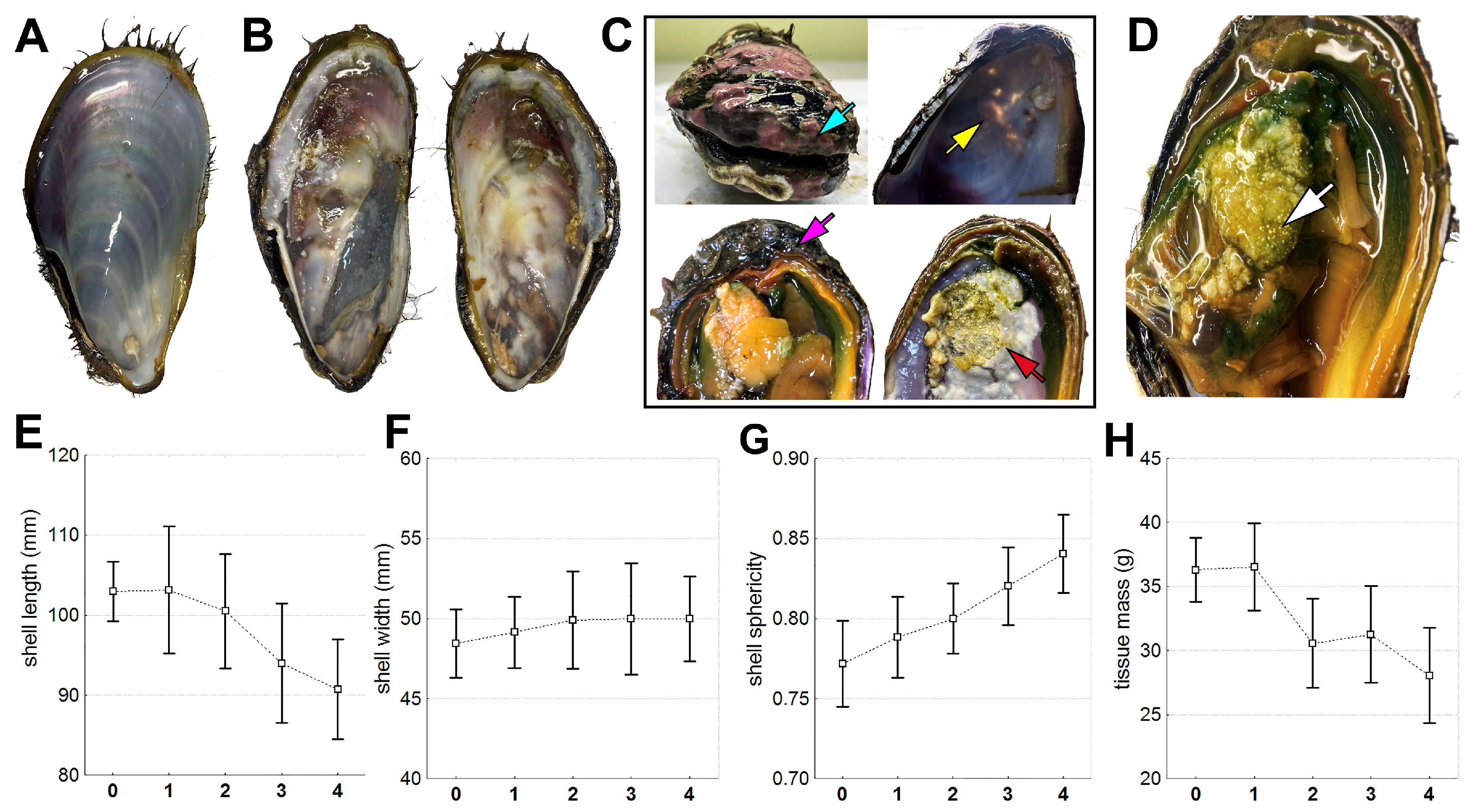 Microorganisms 12 00997 g002