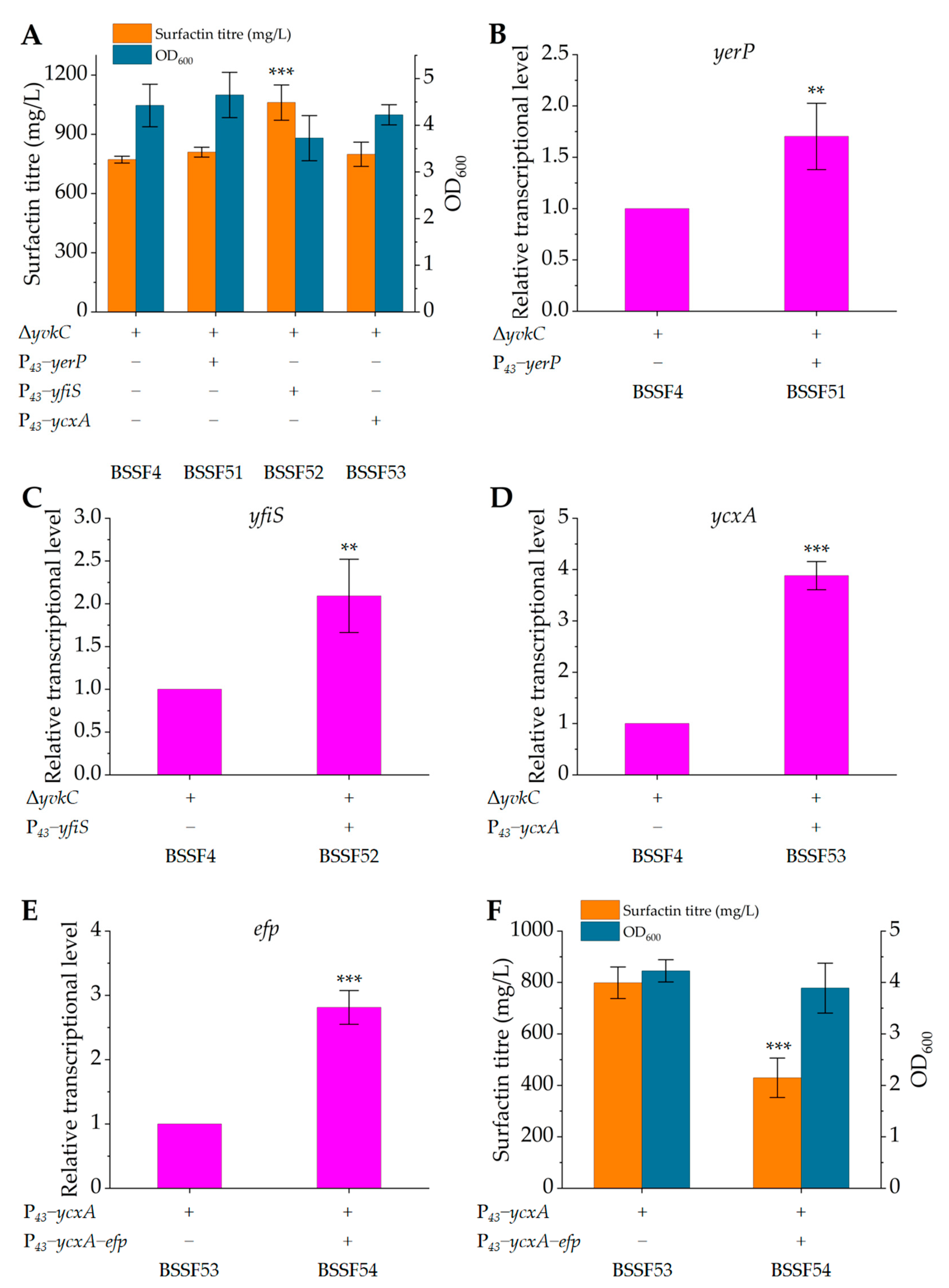 Microorganisms 12 00998 g004