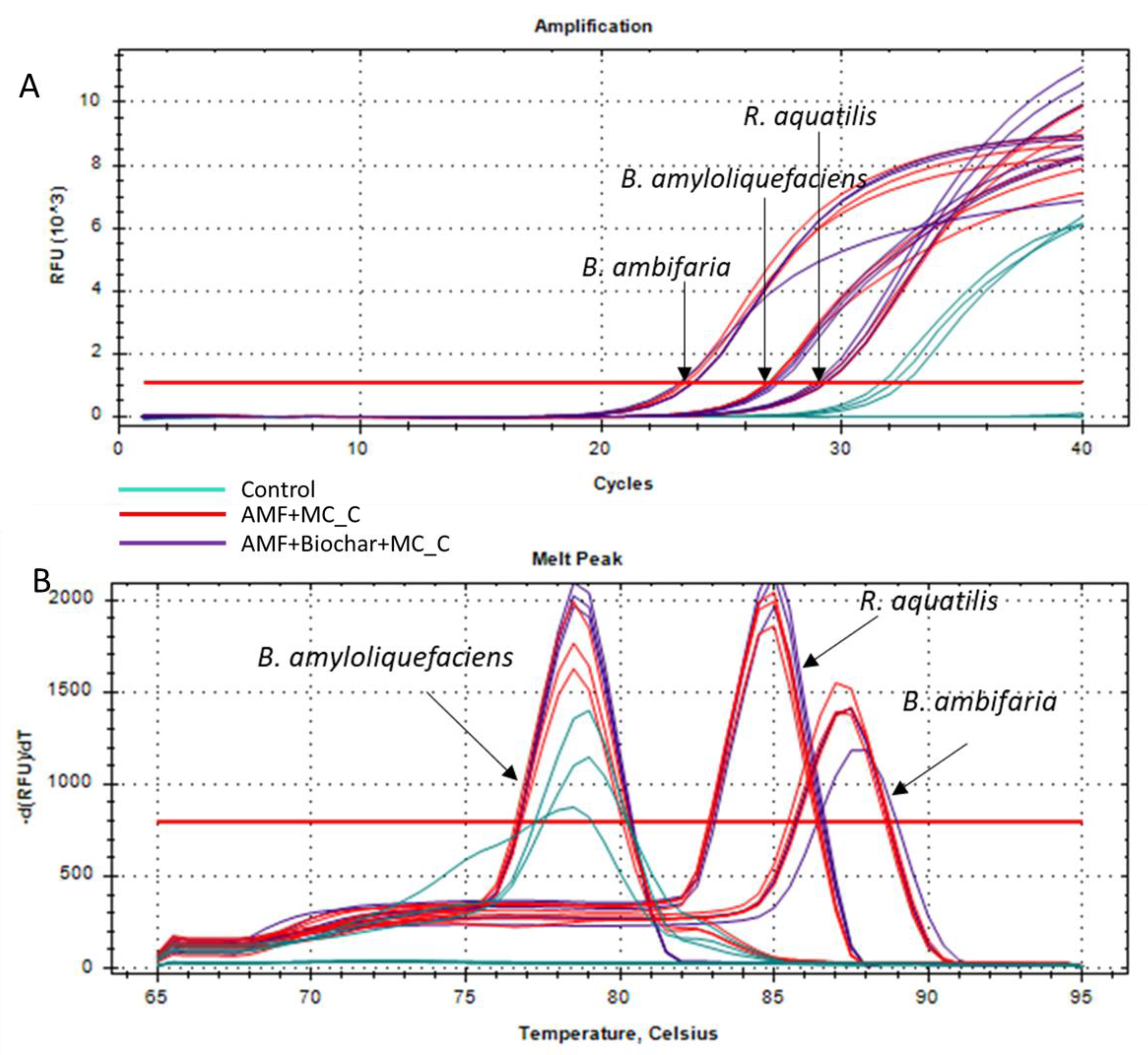 Microorganisms 12 01002 g002 Microorganisms 12 01002 g002