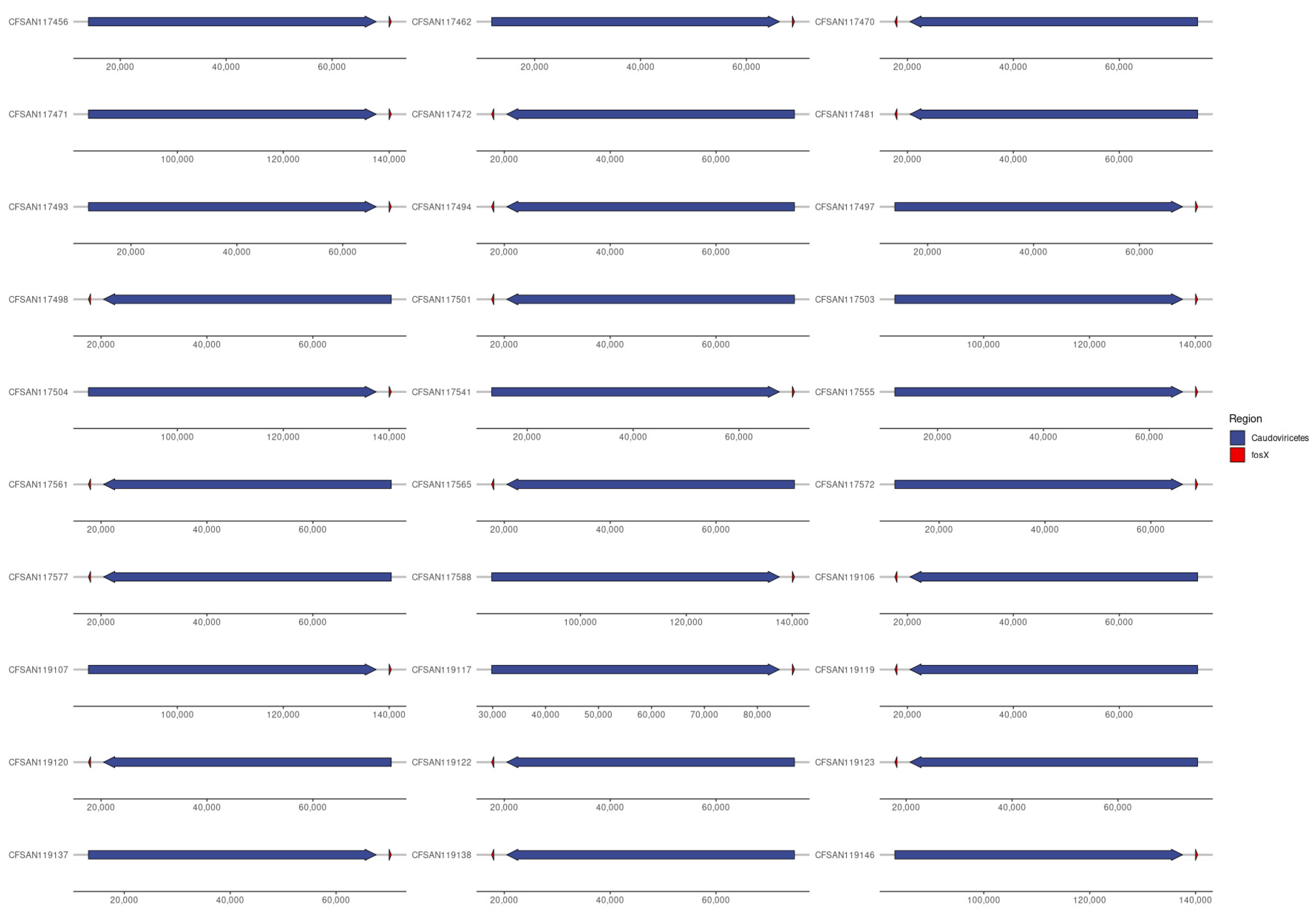 Microorganisms 12 01003 g005