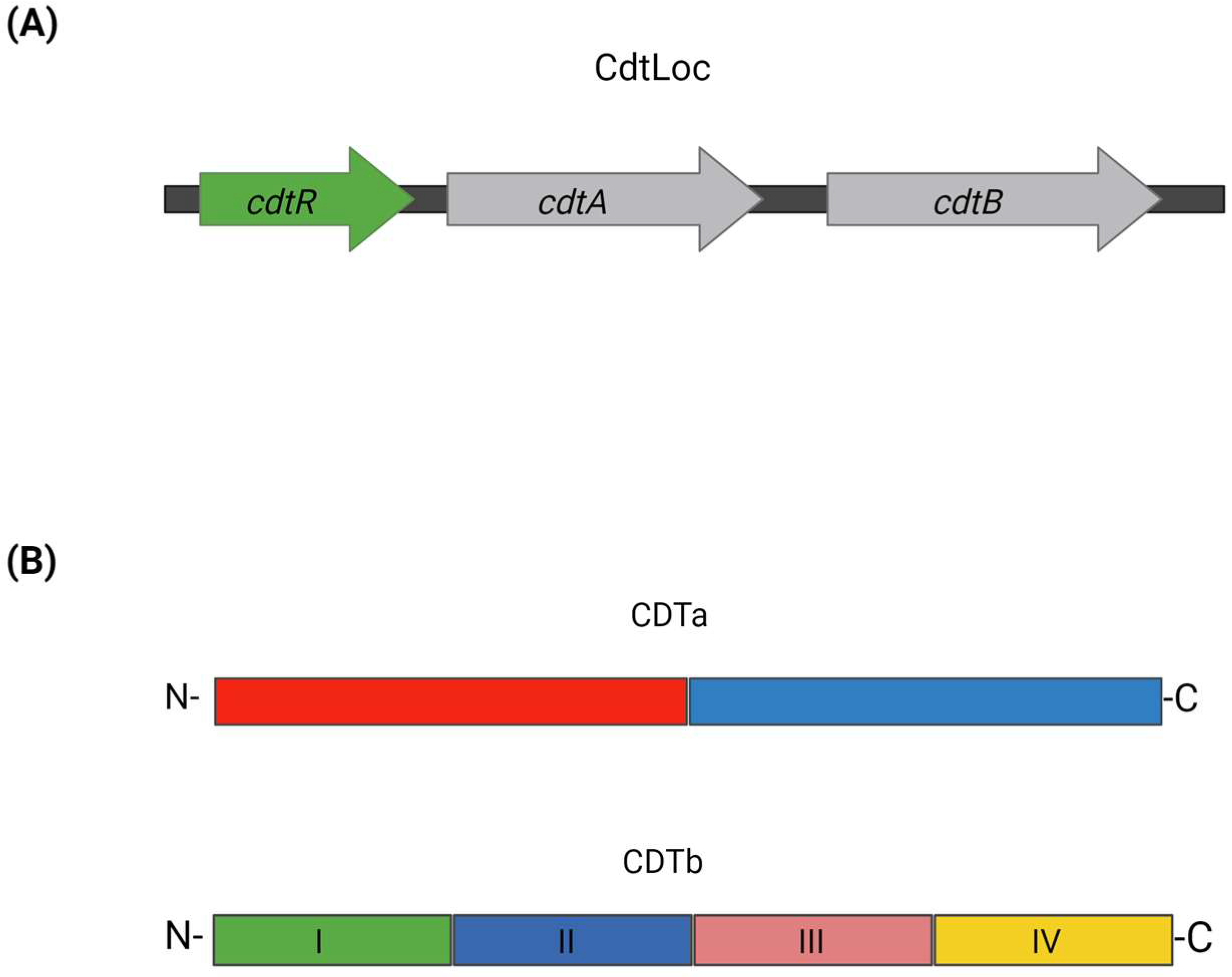 Microorganisms 12 01004 g005