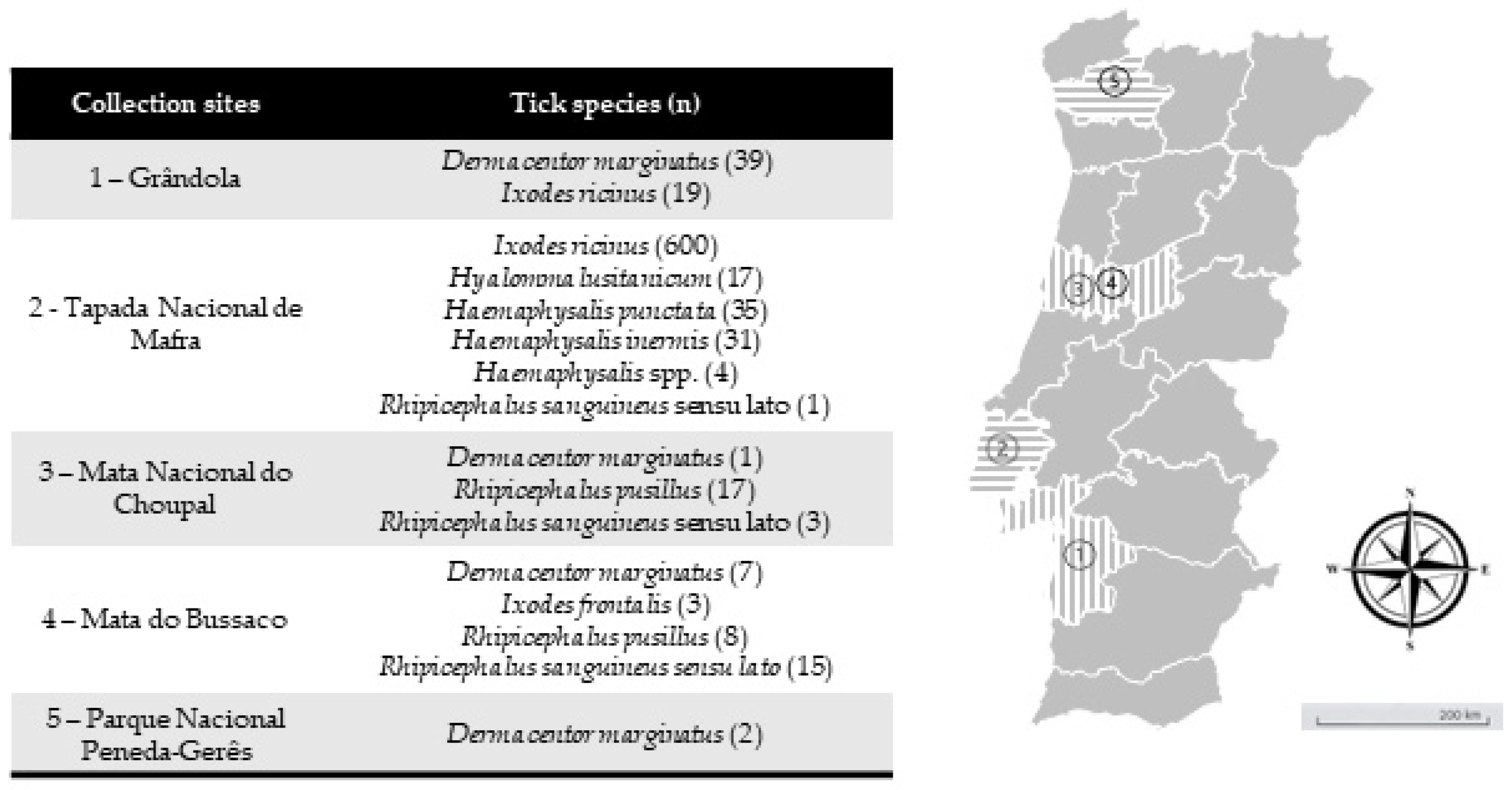 Microorganisms 12 01006 g001