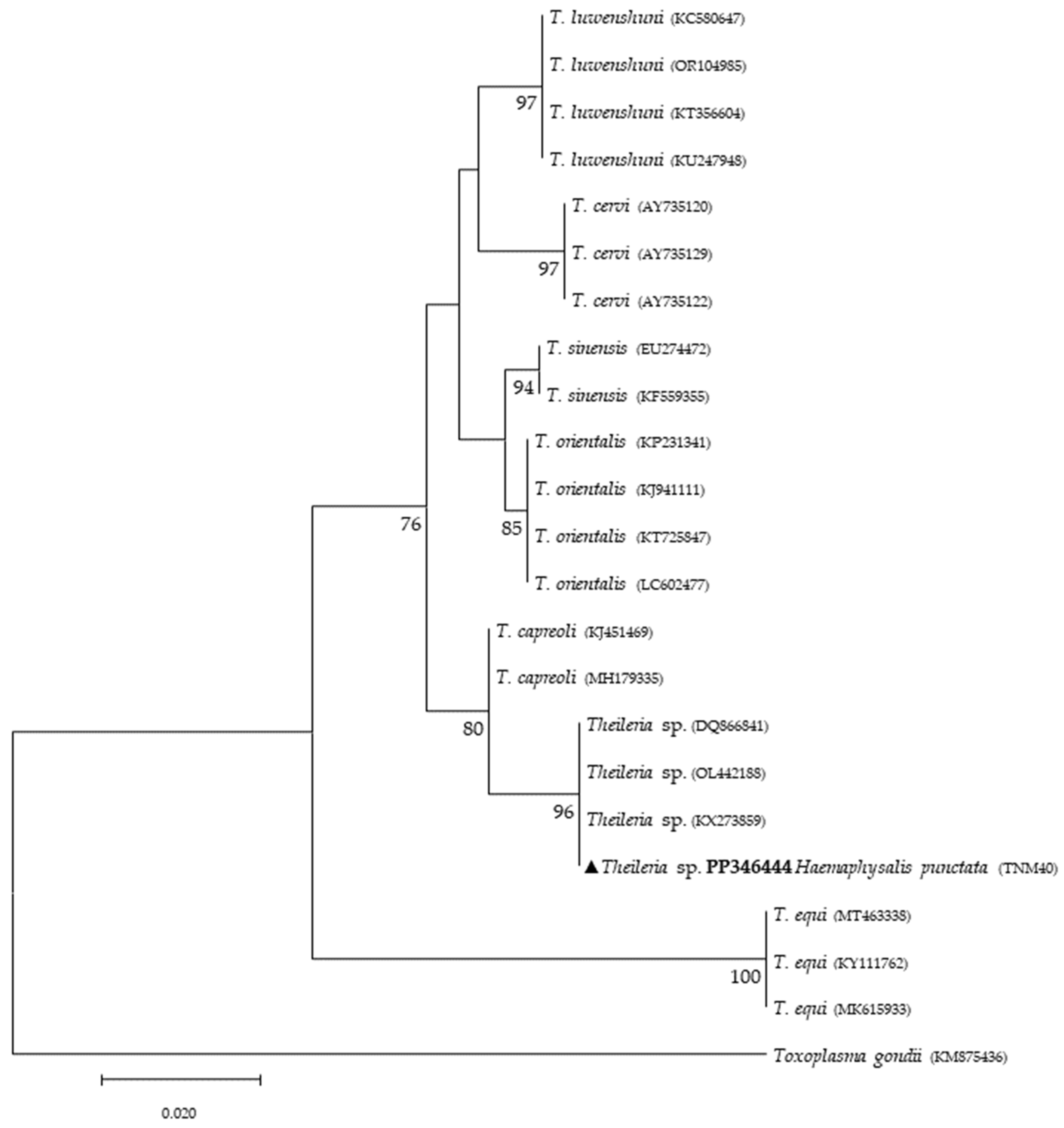 Microorganisms 12 01006 g003