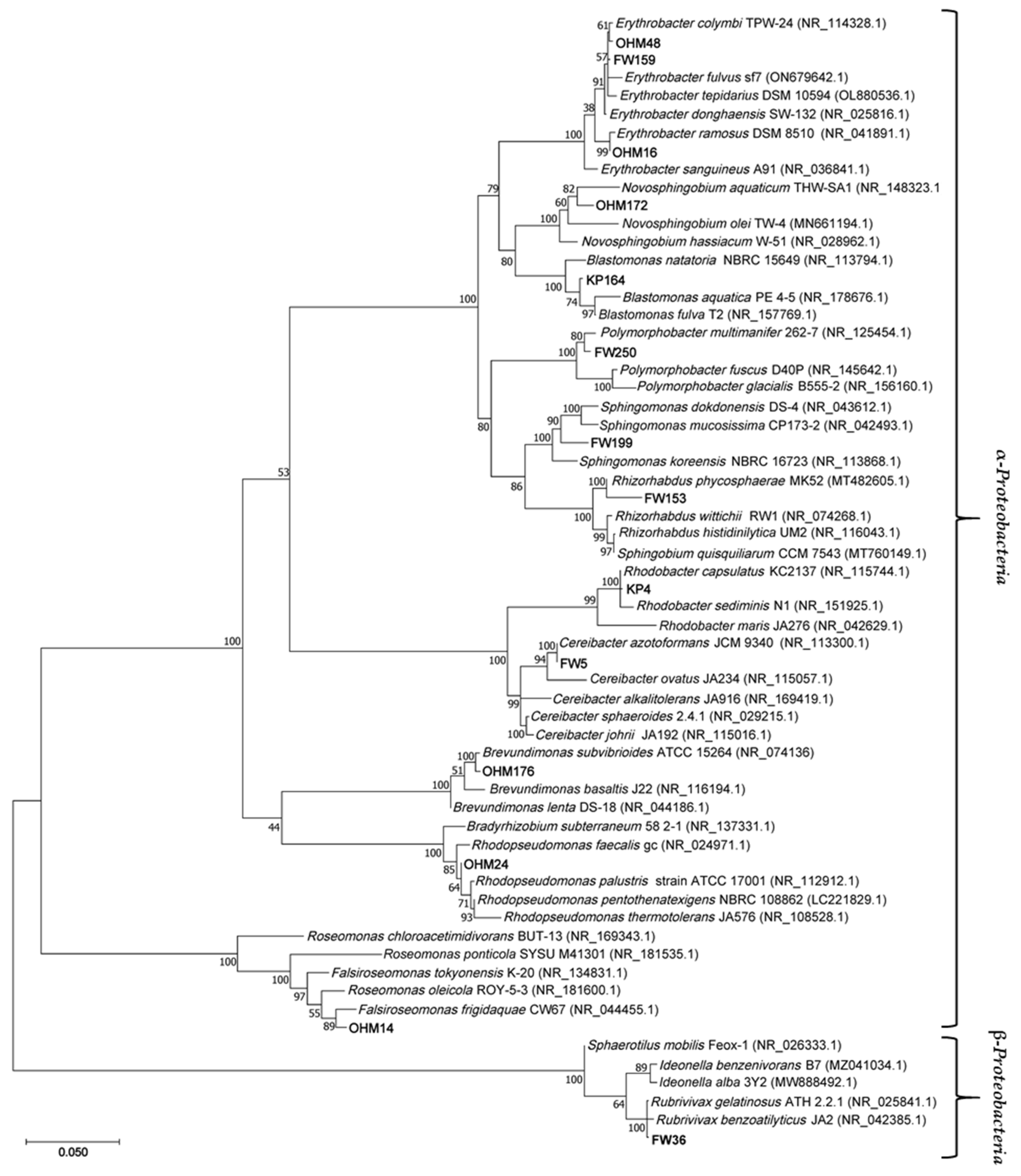 Microorganisms 12 01007 g005