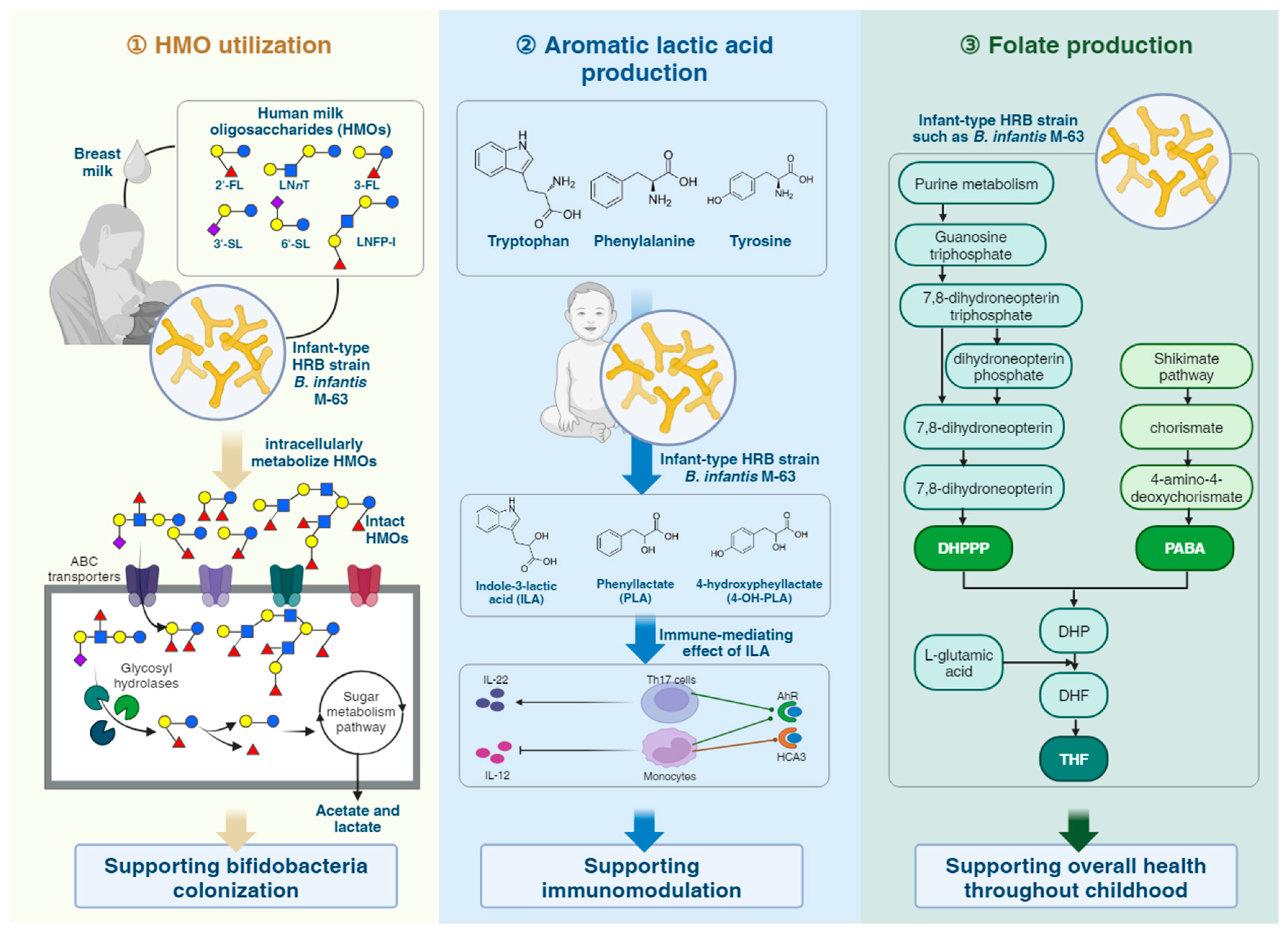 Microorganisms 12 01014 g002 Microorganisms 12 01014 g002
