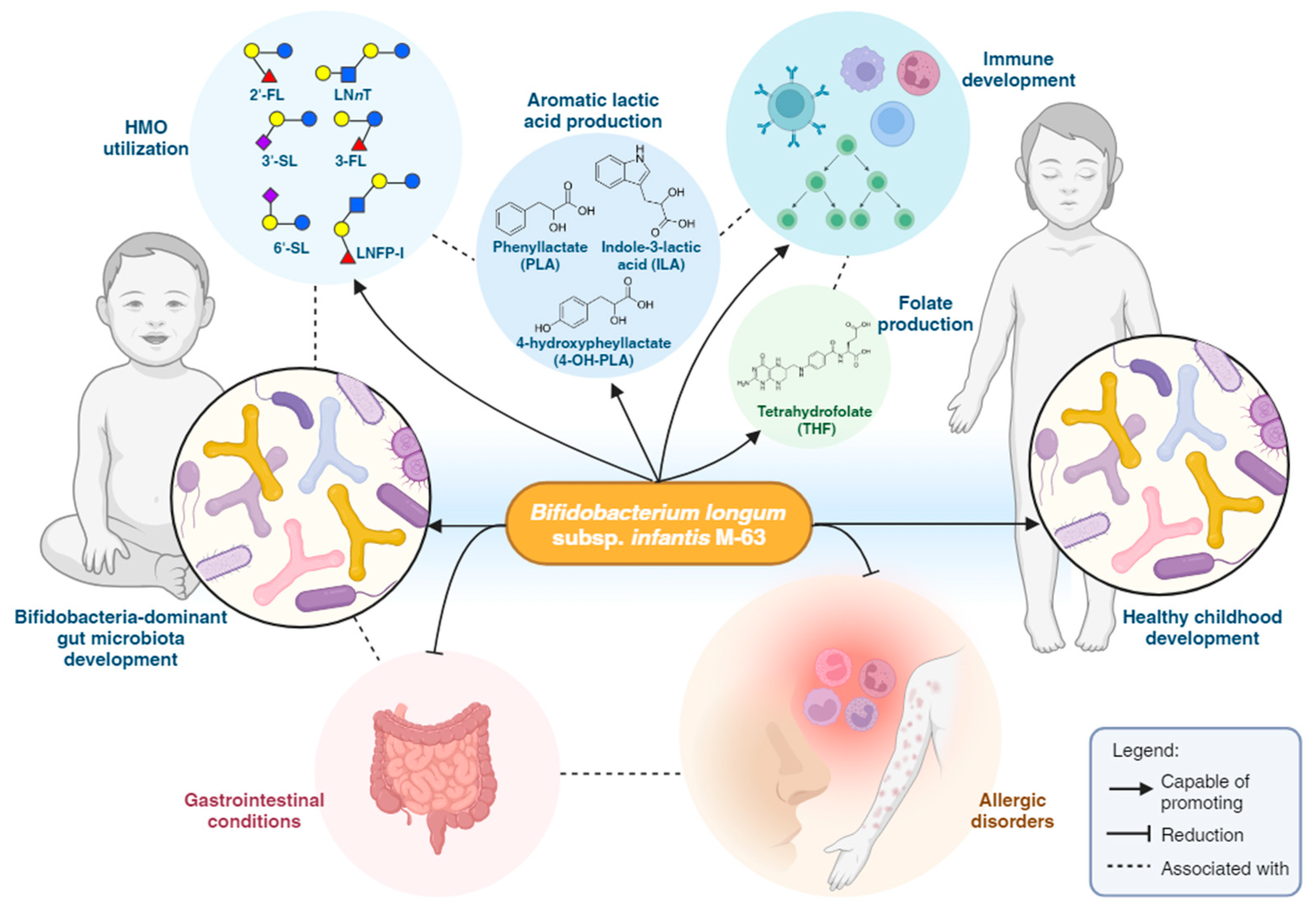 Microorganisms 12 01014 g003 Microorganisms 12 01014 g003