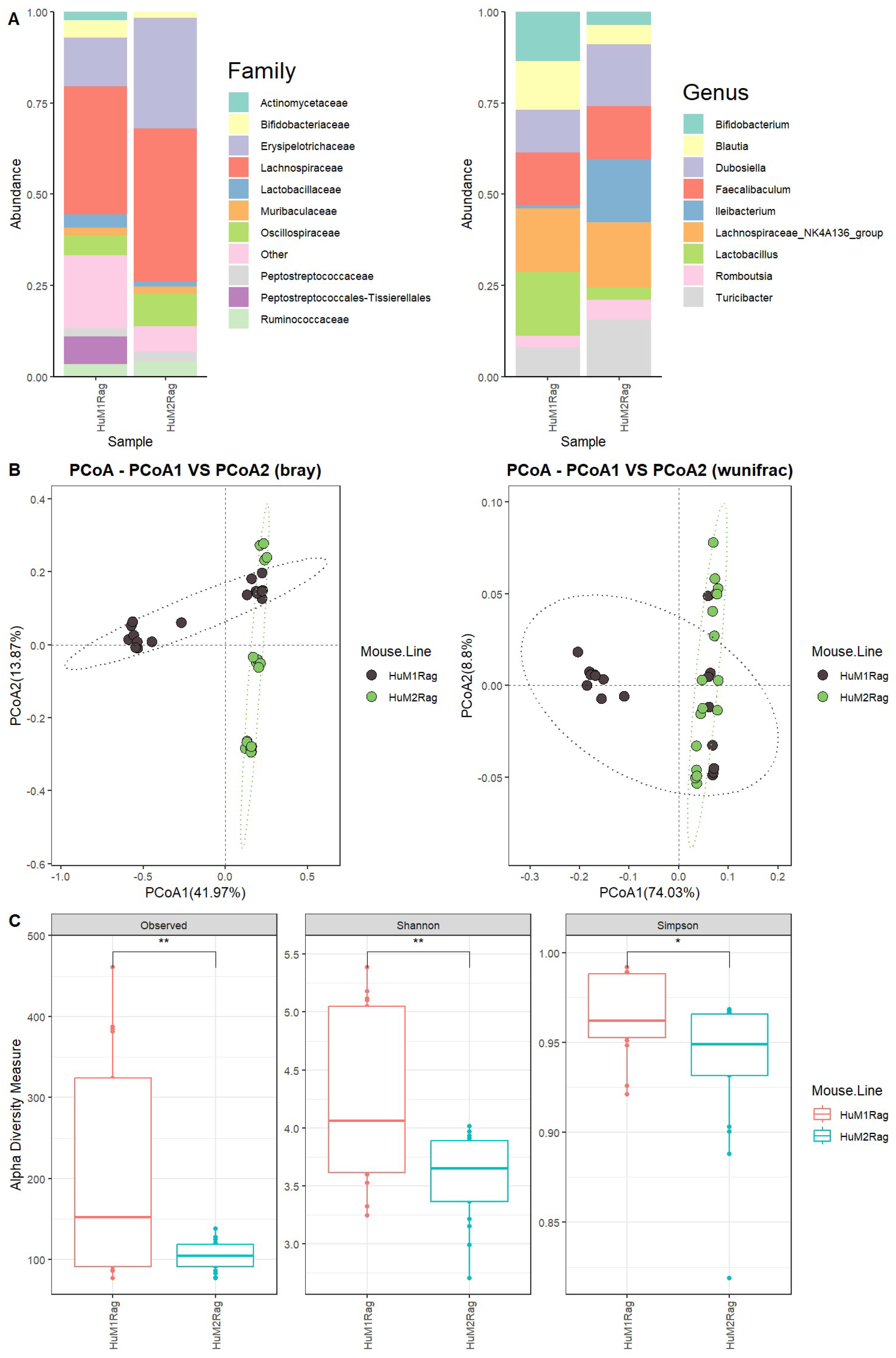 Microorganisms 12 01015 g001