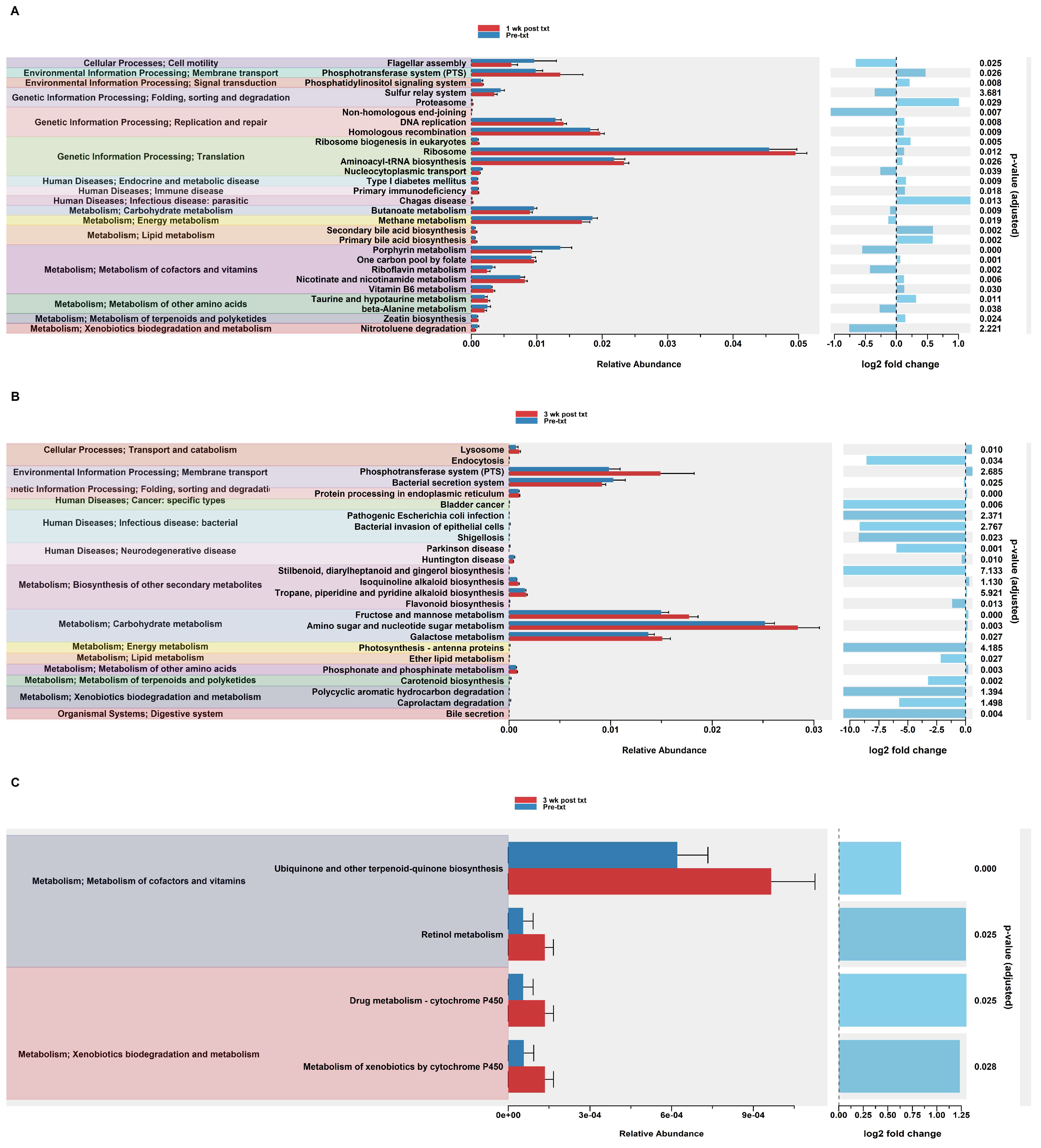 Microorganisms 12 01015 g004