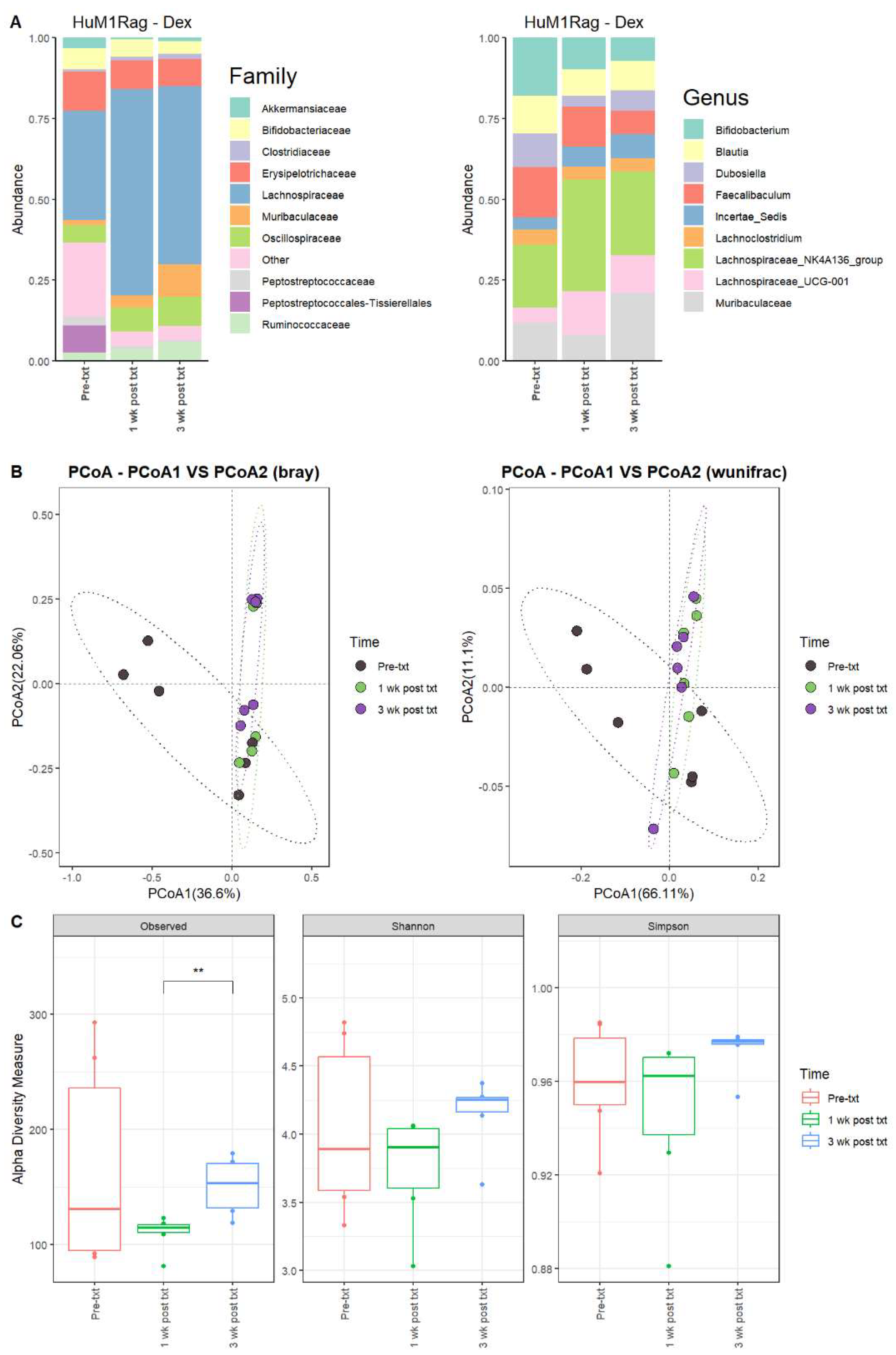 Microorganisms 12 01015 g005