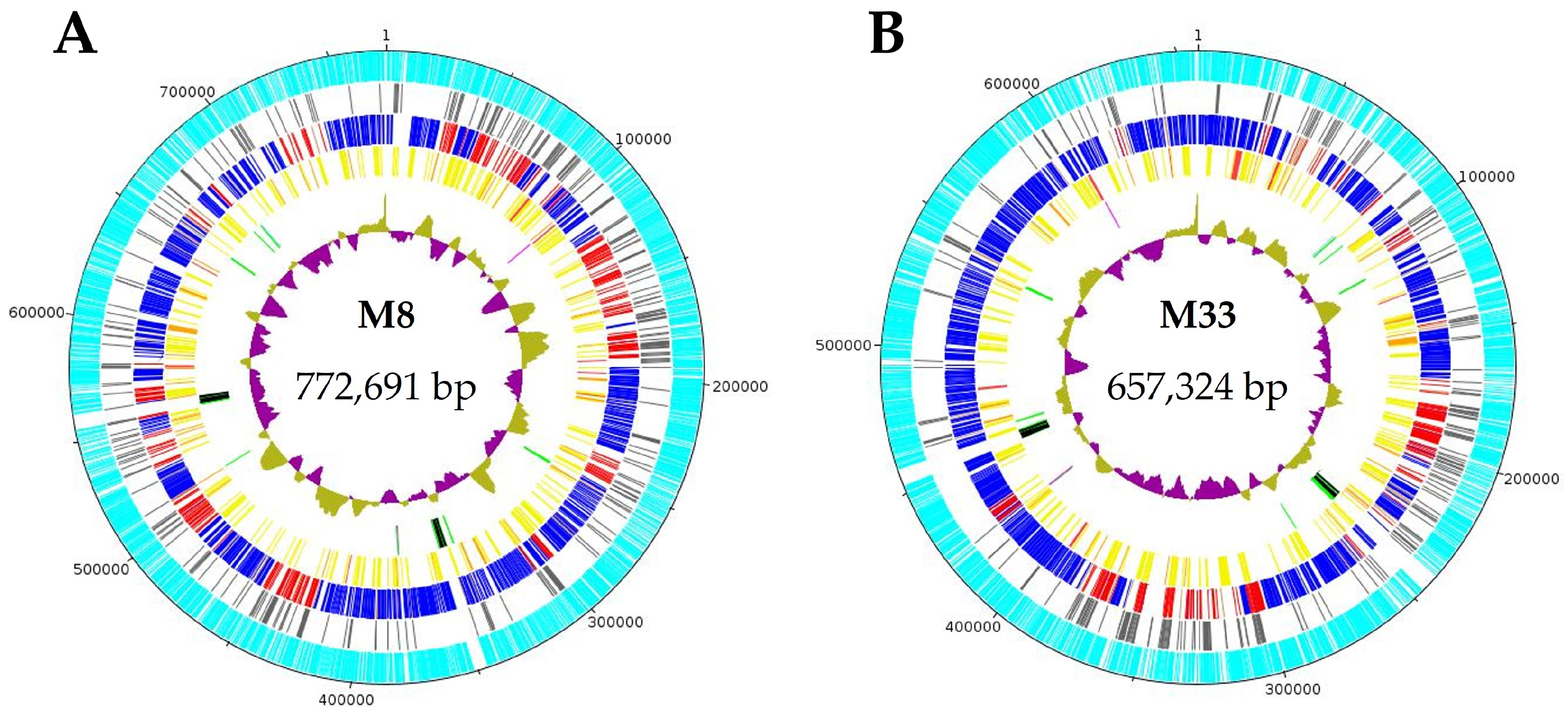 Microorganisms 12 01016 g003 Microorganisms 12 01016 g003