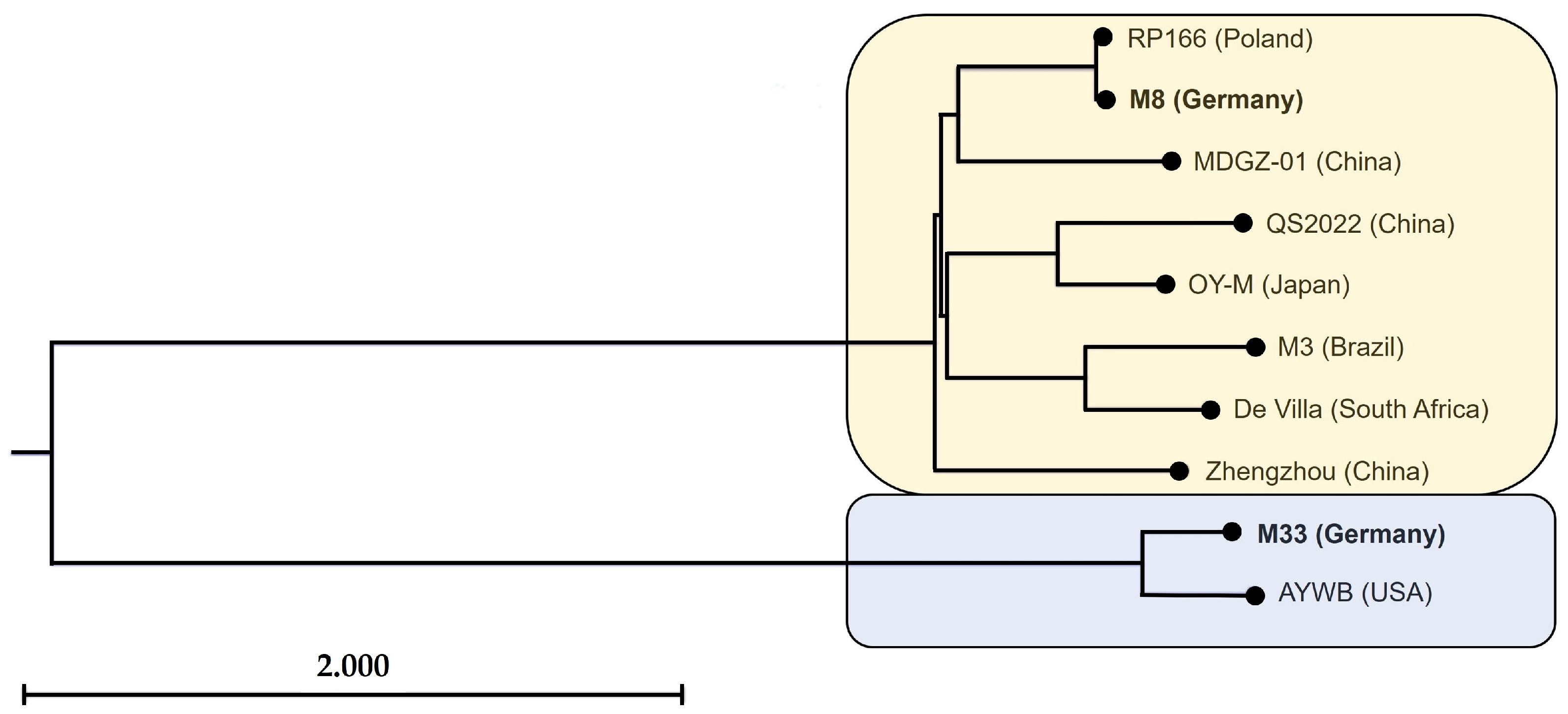 Microorganisms 12 01016 g004 Microorganisms 12 01016 g004