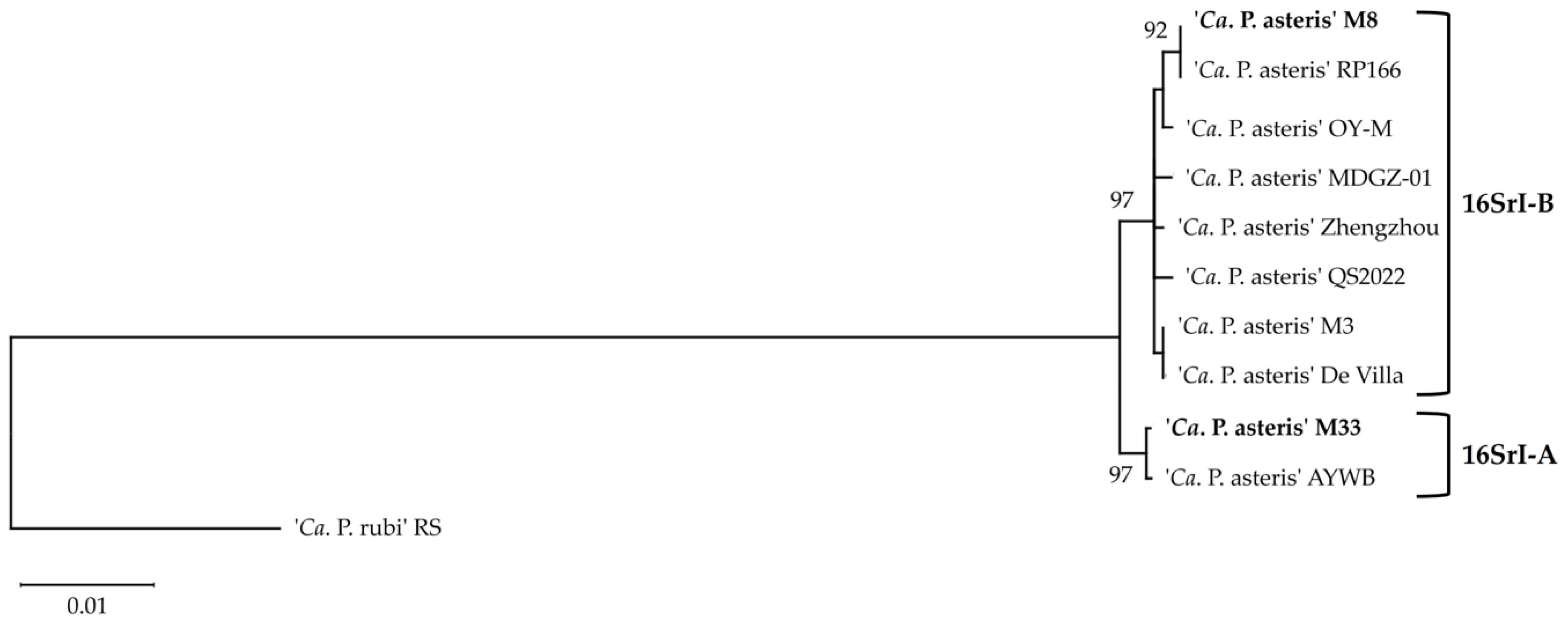 Microorganisms 12 01016 g006 Microorganisms 12 01016 g006