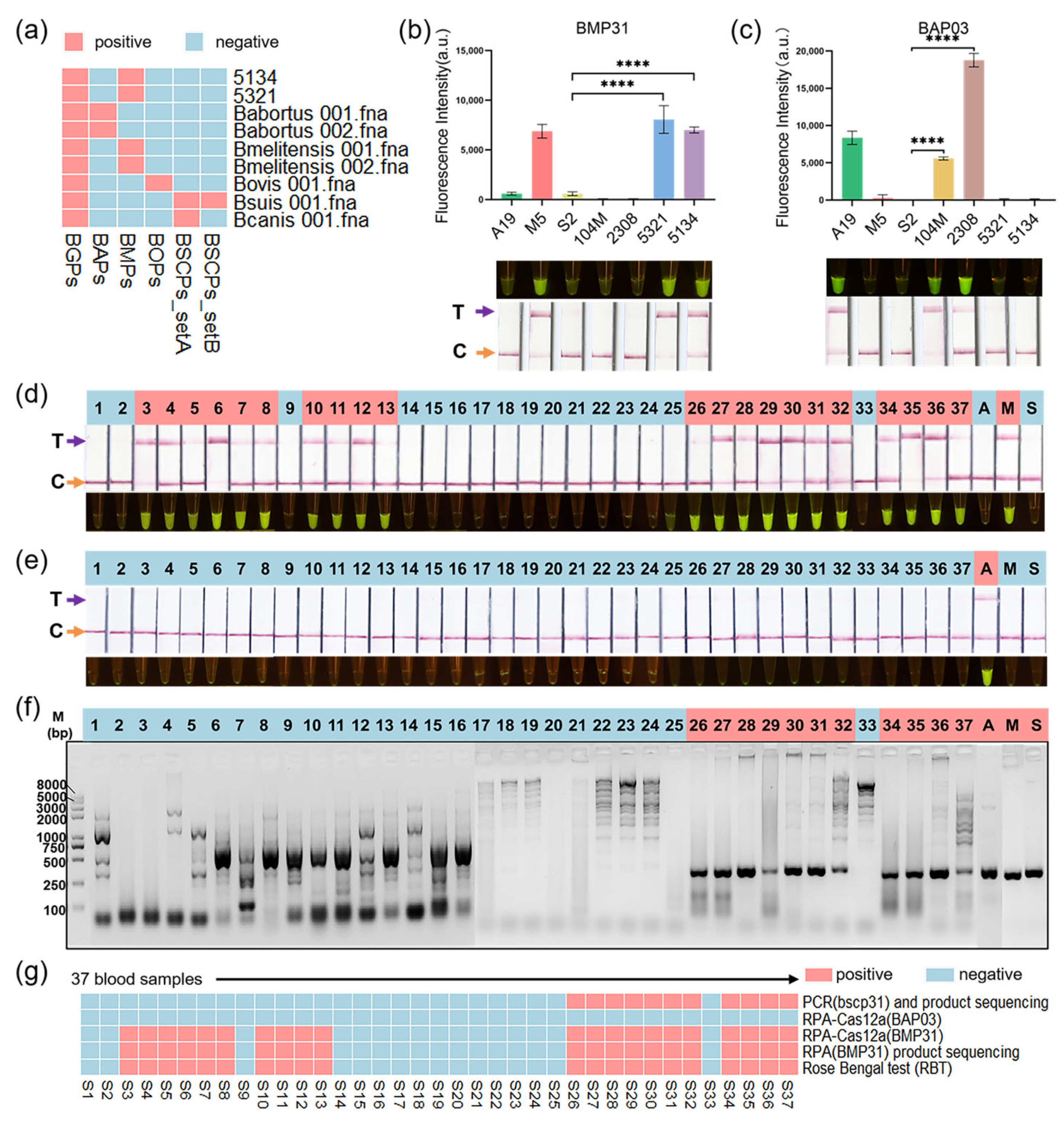 Microorganisms 12 01018 g005