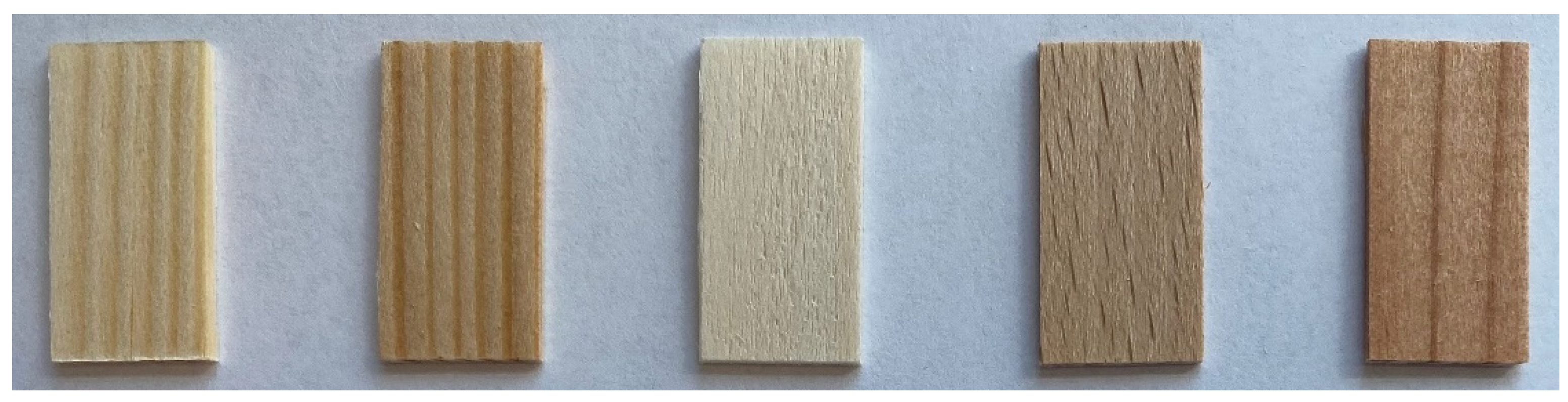 Microorganisms 12 01019 g001