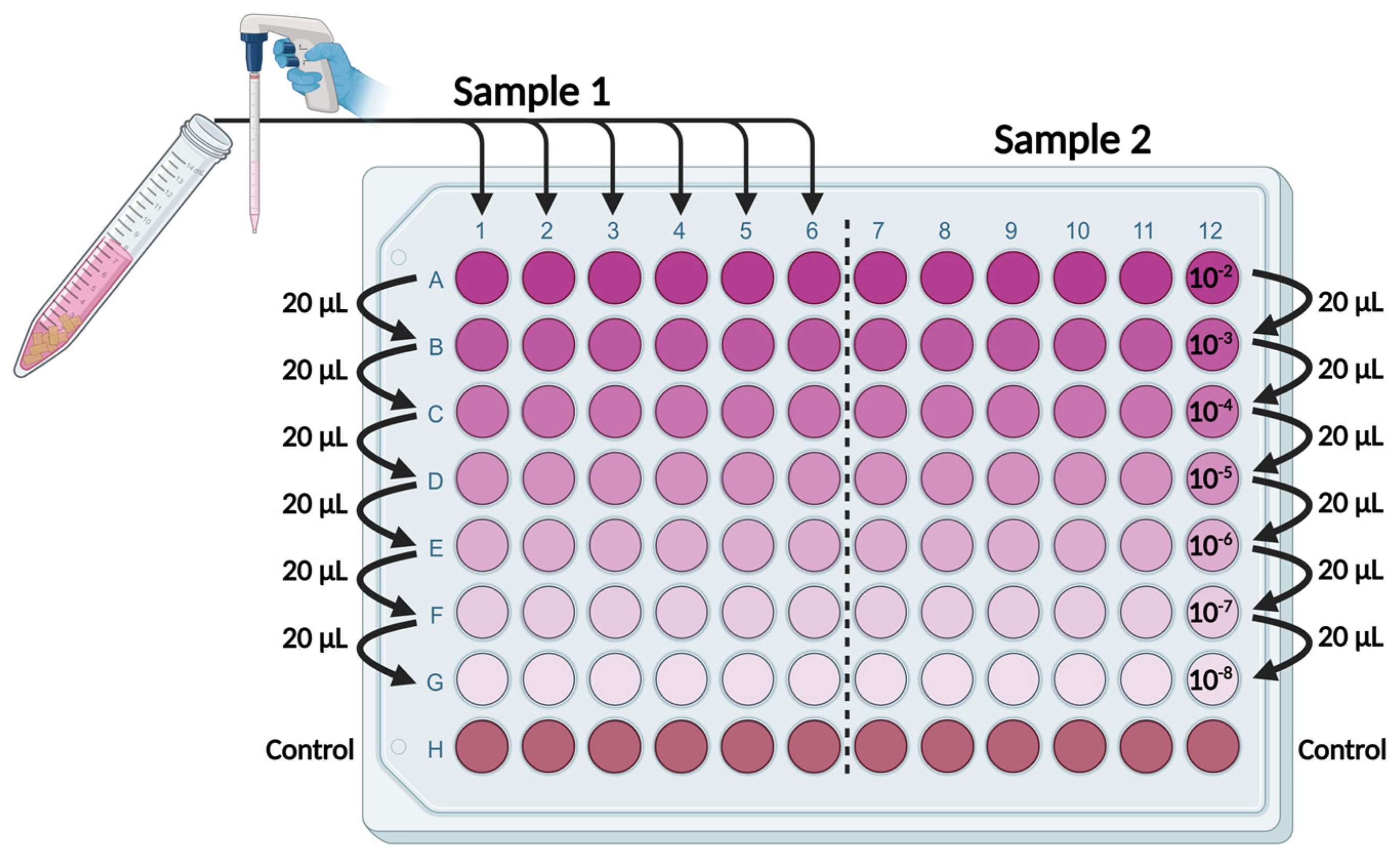 Microorganisms 12 01019 g002