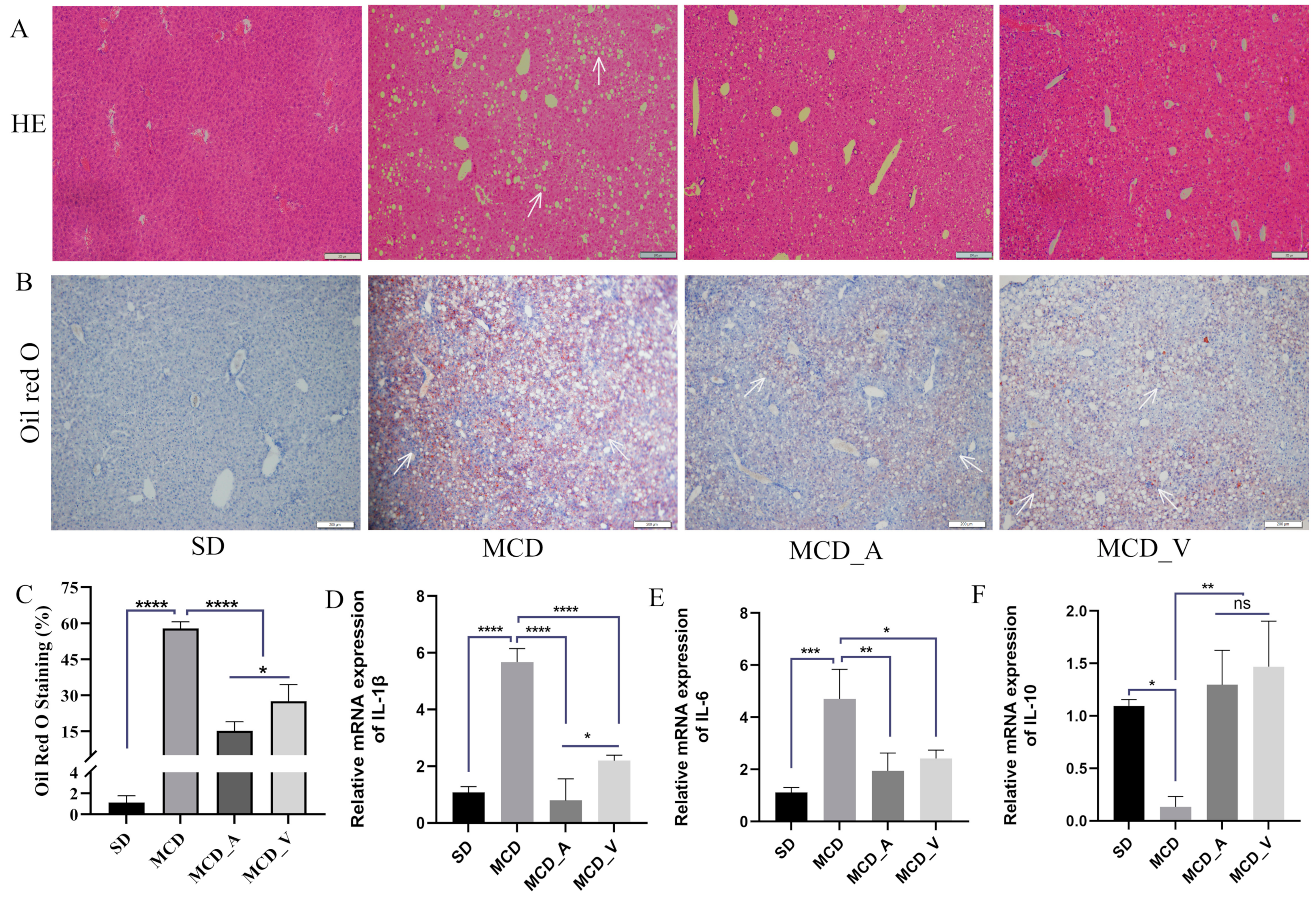 Microorganisms 12 01020 g002