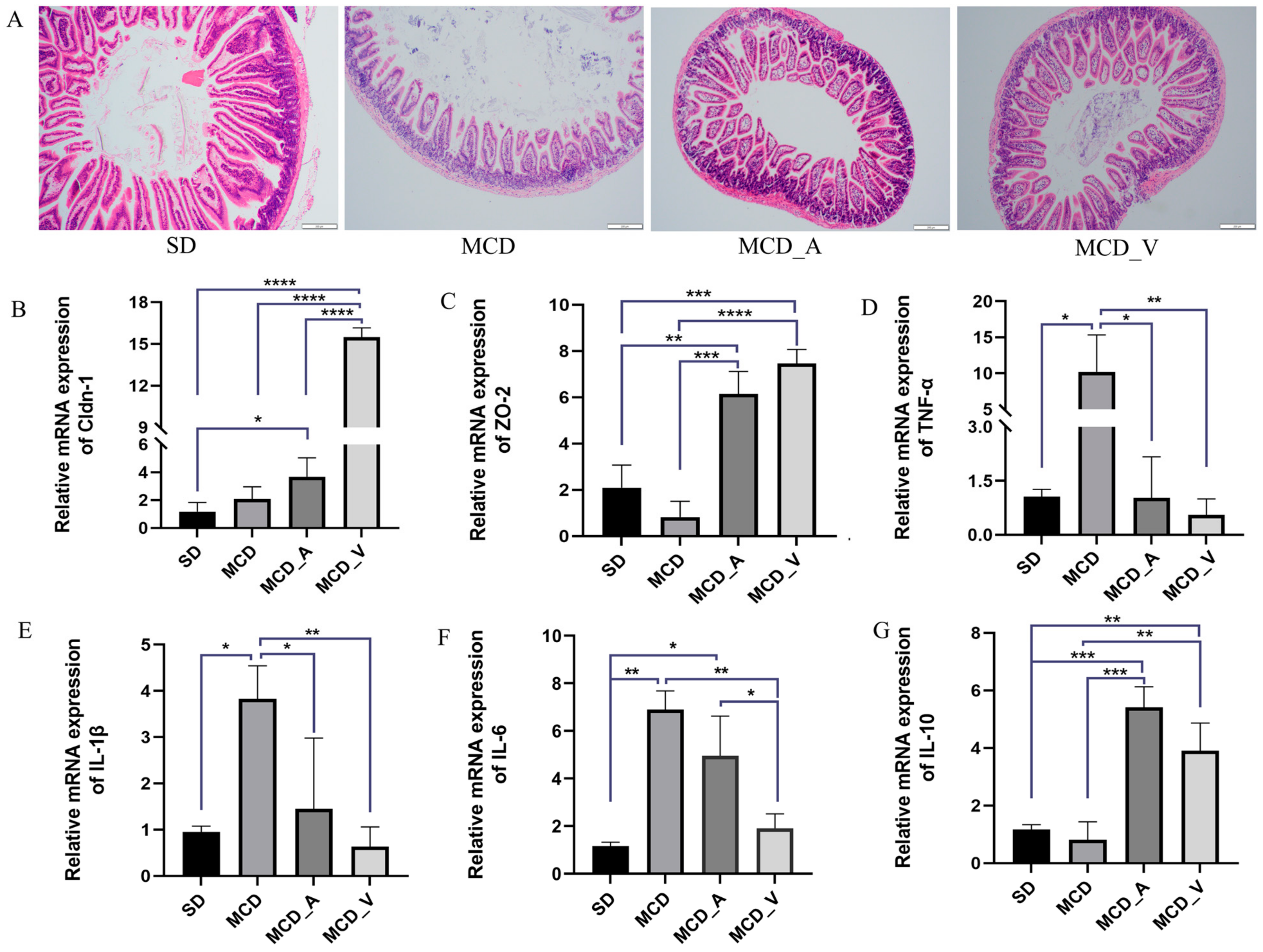 Microorganisms 12 01020 g003