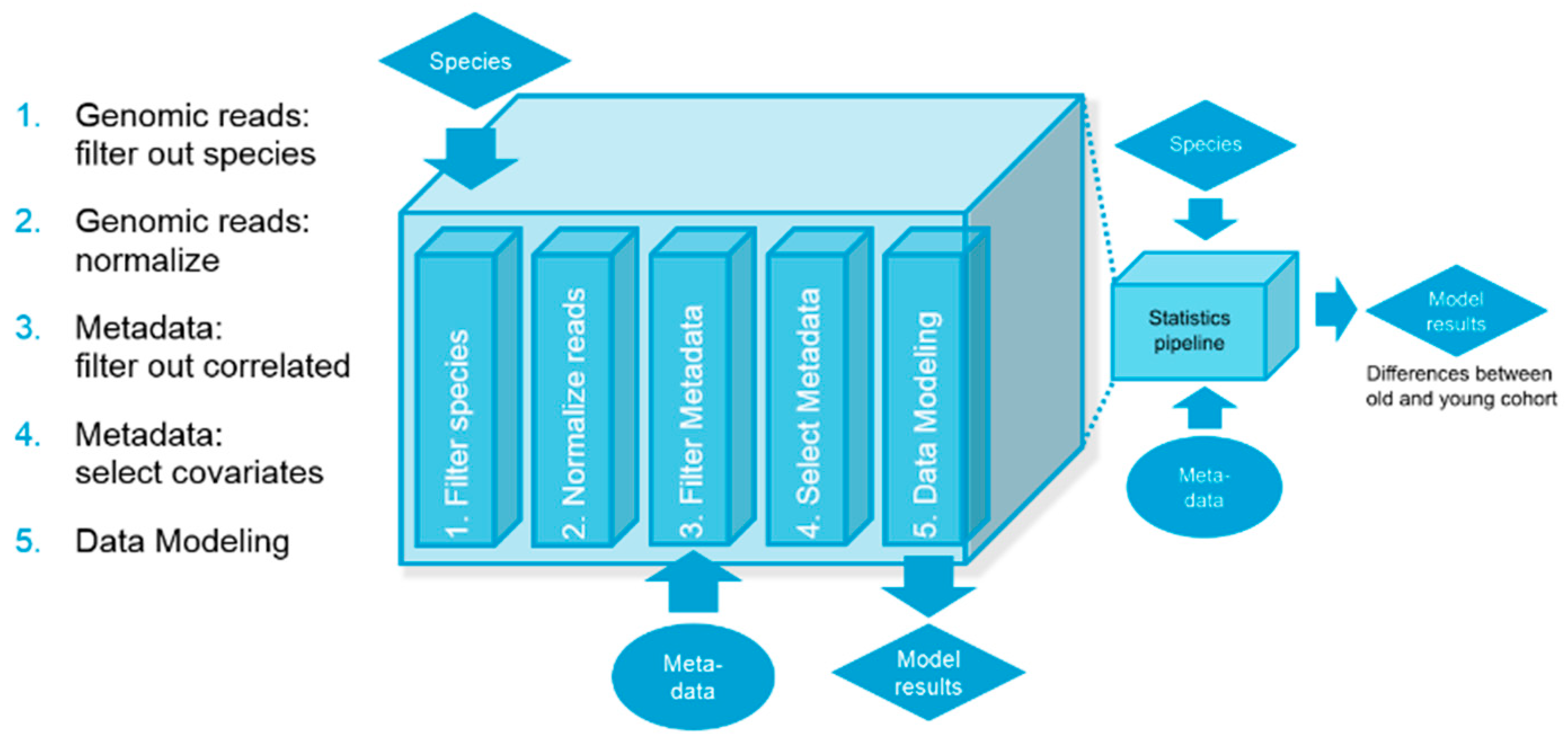 Microorganisms 12 01021 g001