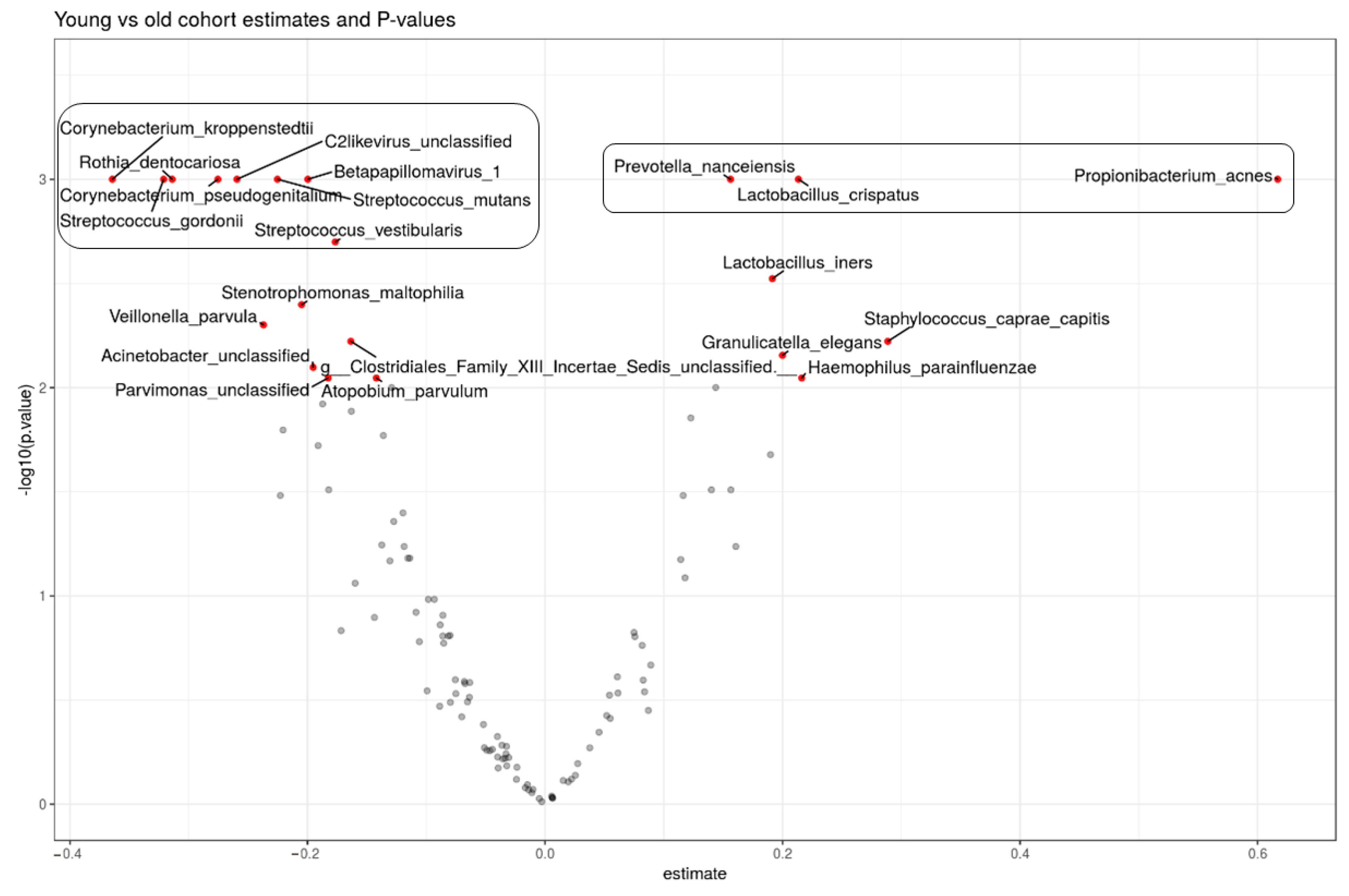 Microorganisms 12 01021 g007