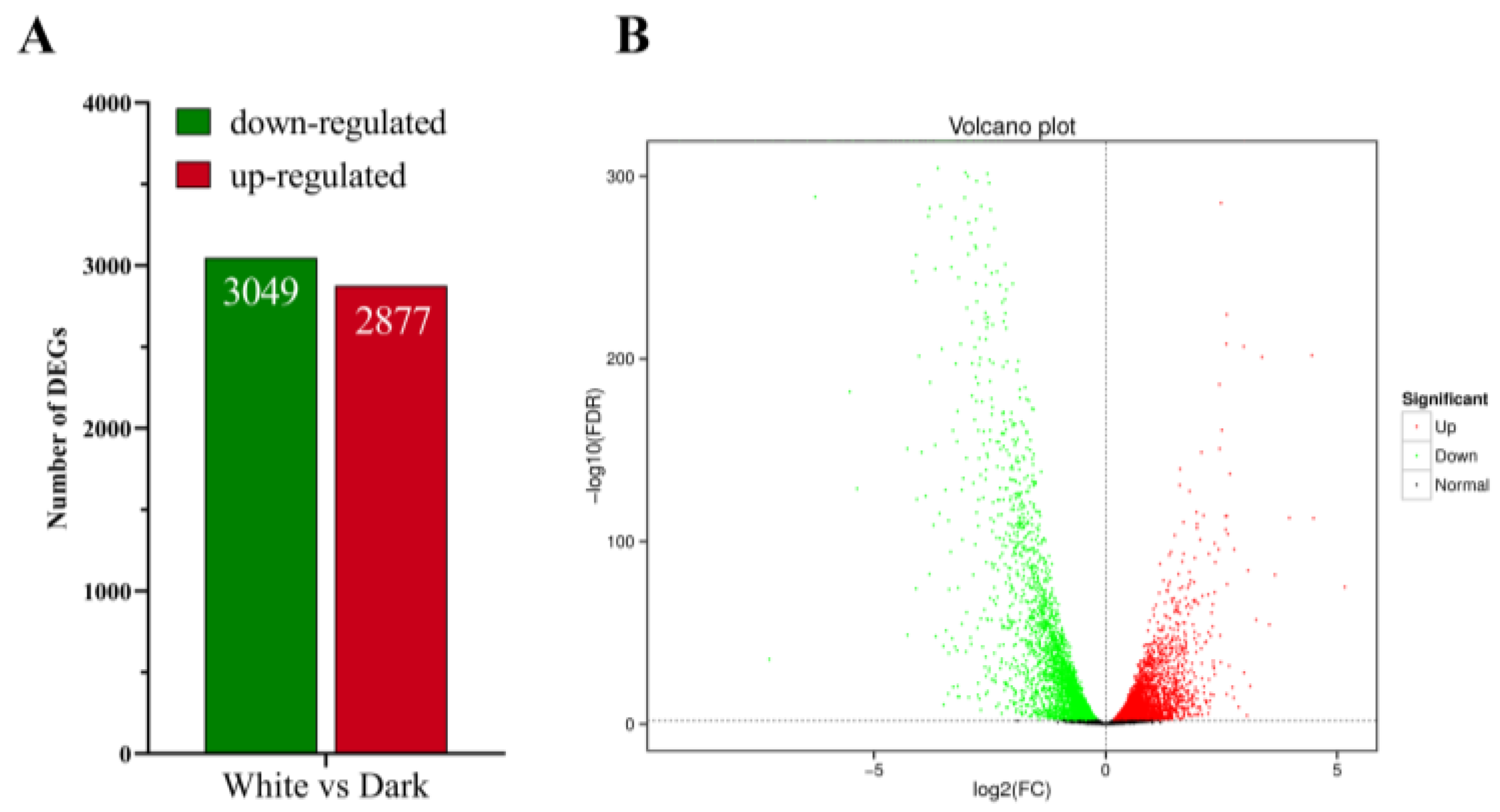Microorganisms 12 01027 g002