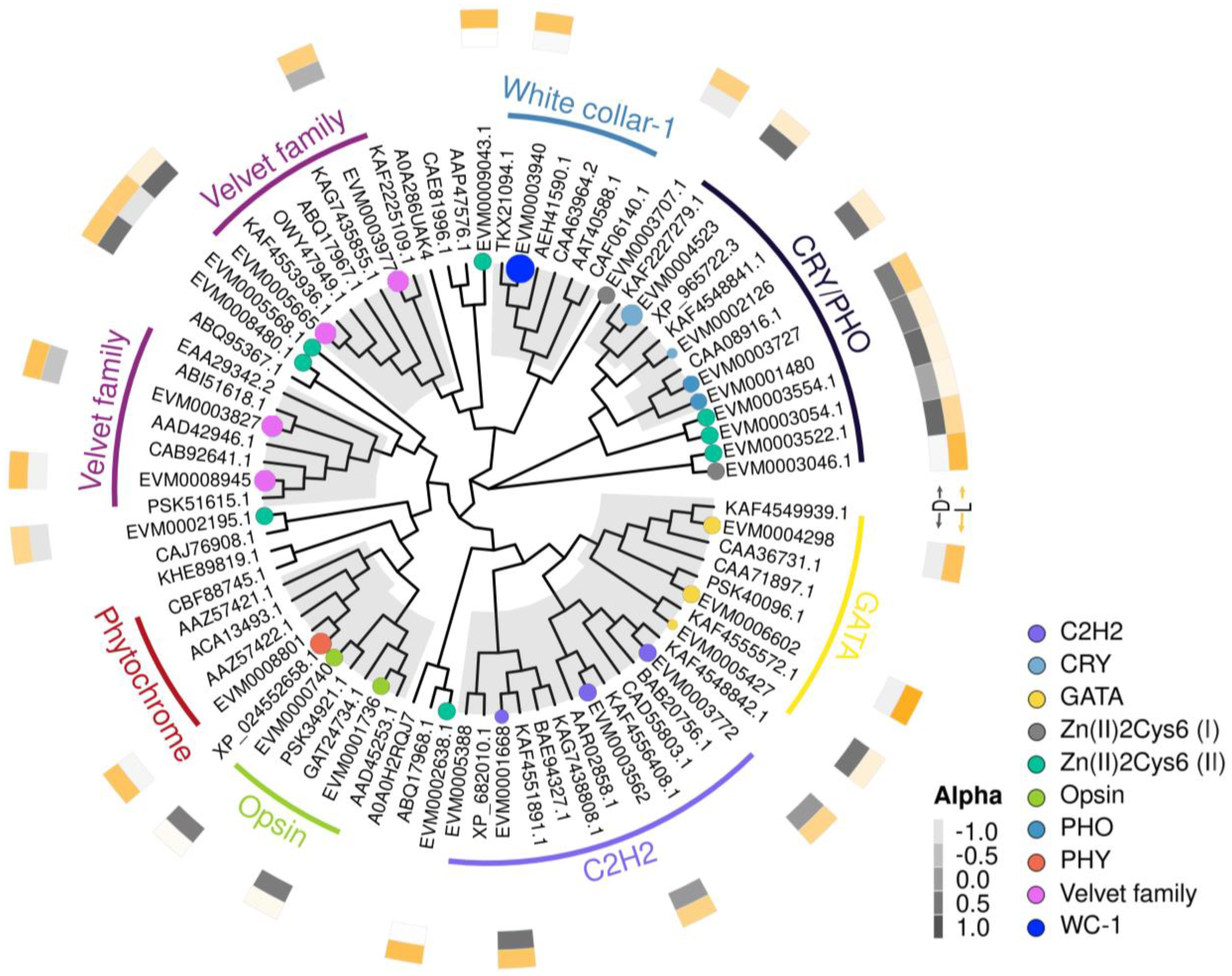 Microorganisms 12 01027 g006