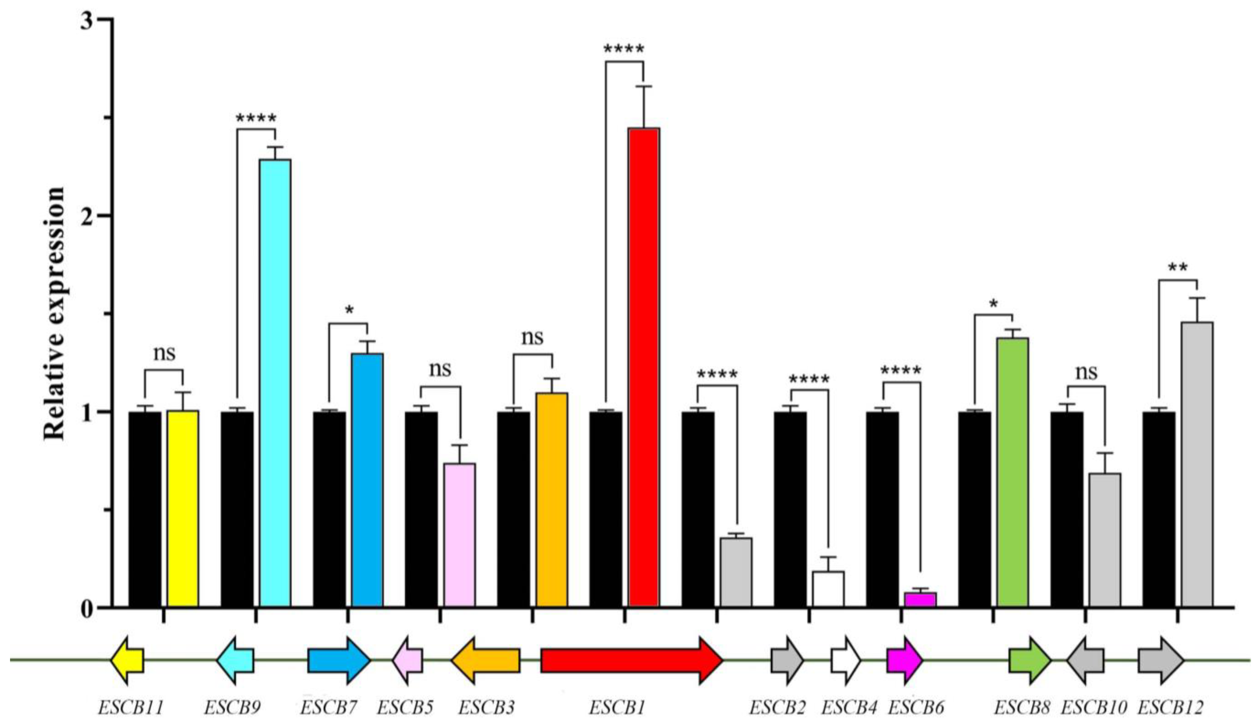 Microorganisms 12 01027 g007