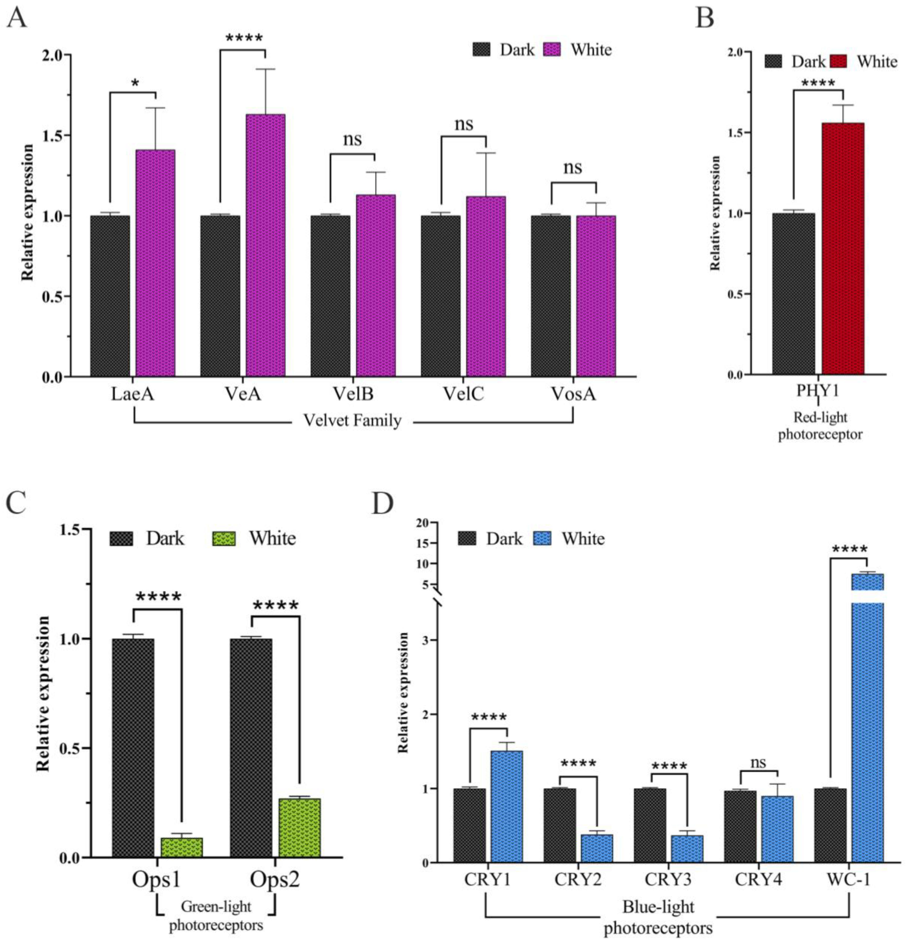 Microorganisms 12 01027 g008