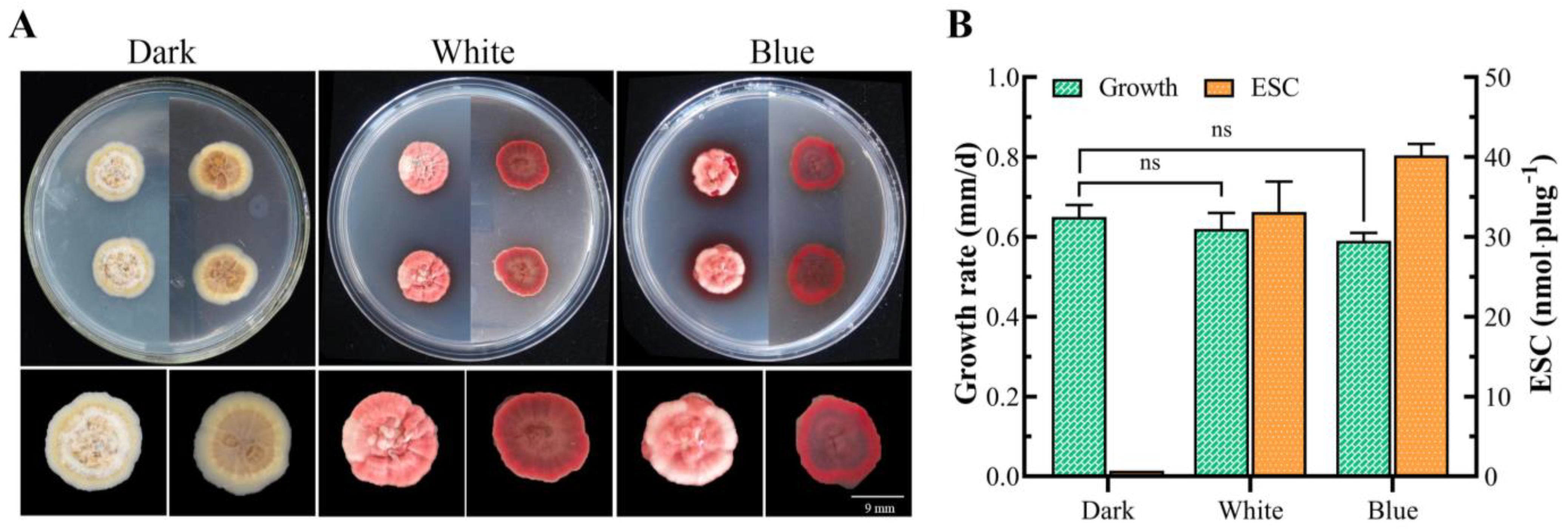 Microorganisms 12 01027 g009