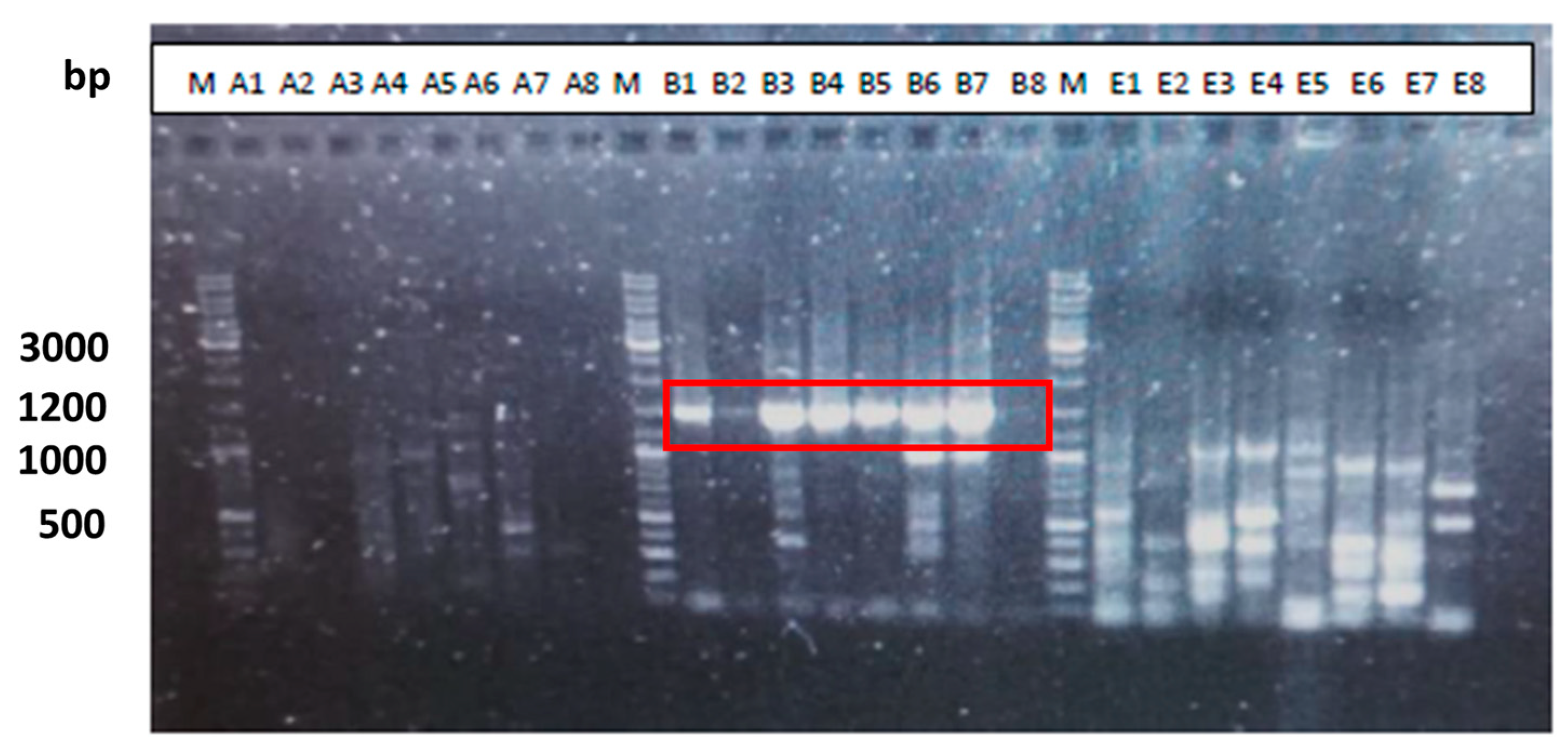 Microorganisms 12 01029 g001 Microorganisms 12 01029 g001