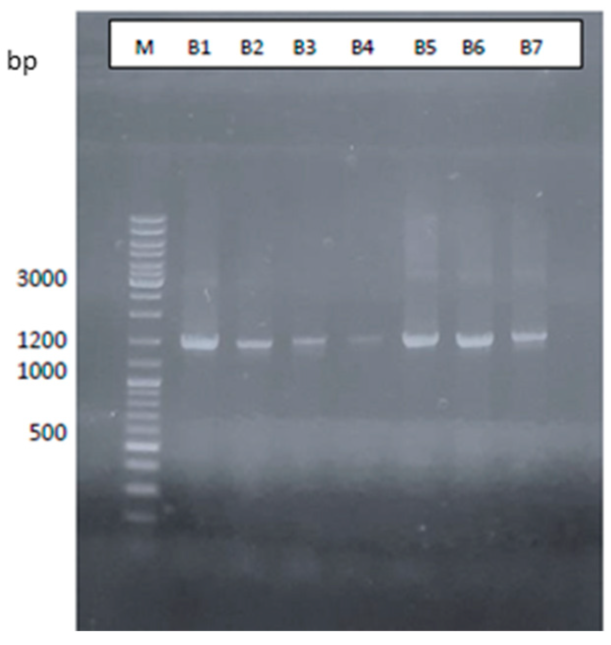 Microorganisms 12 01029 g002 Microorganisms 12 01029 g002