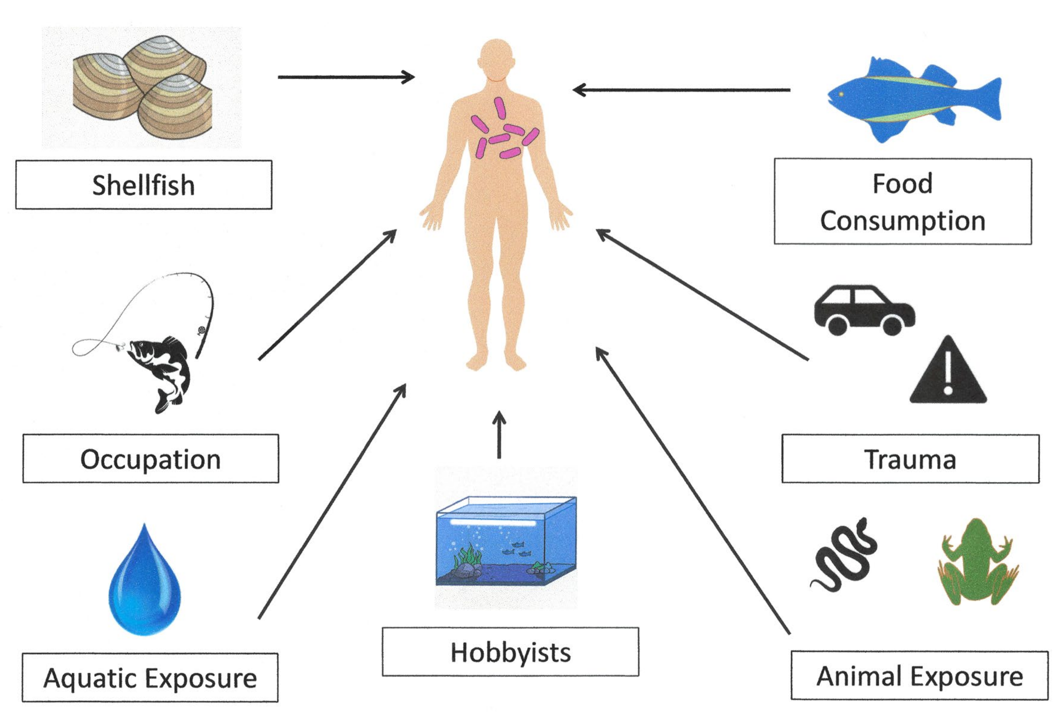 Microorganisms 12 01031 g001 Microorganisms 12 01031 g001
