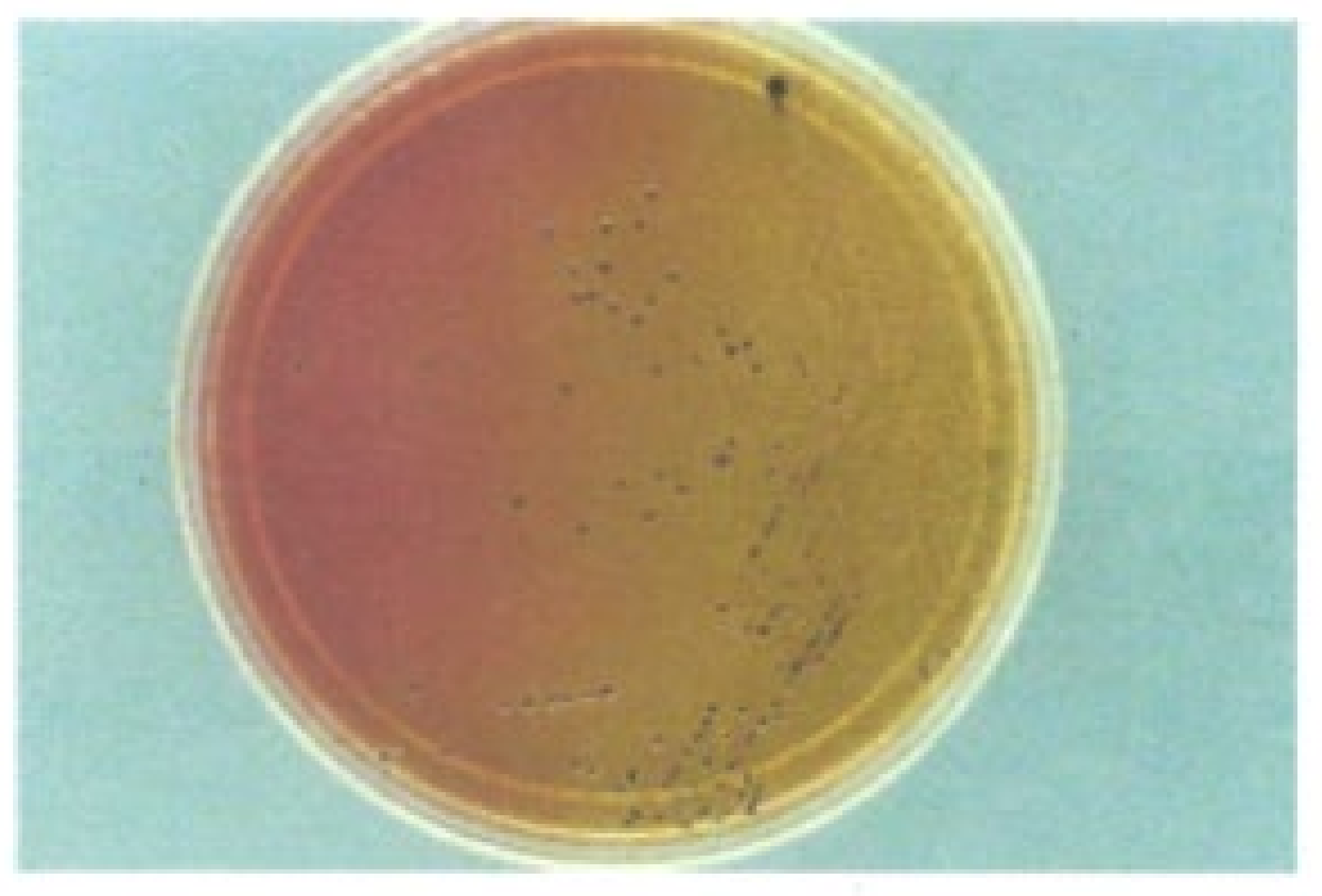 Microorganisms 12 01031 g002 Microorganisms 12 01031 g002