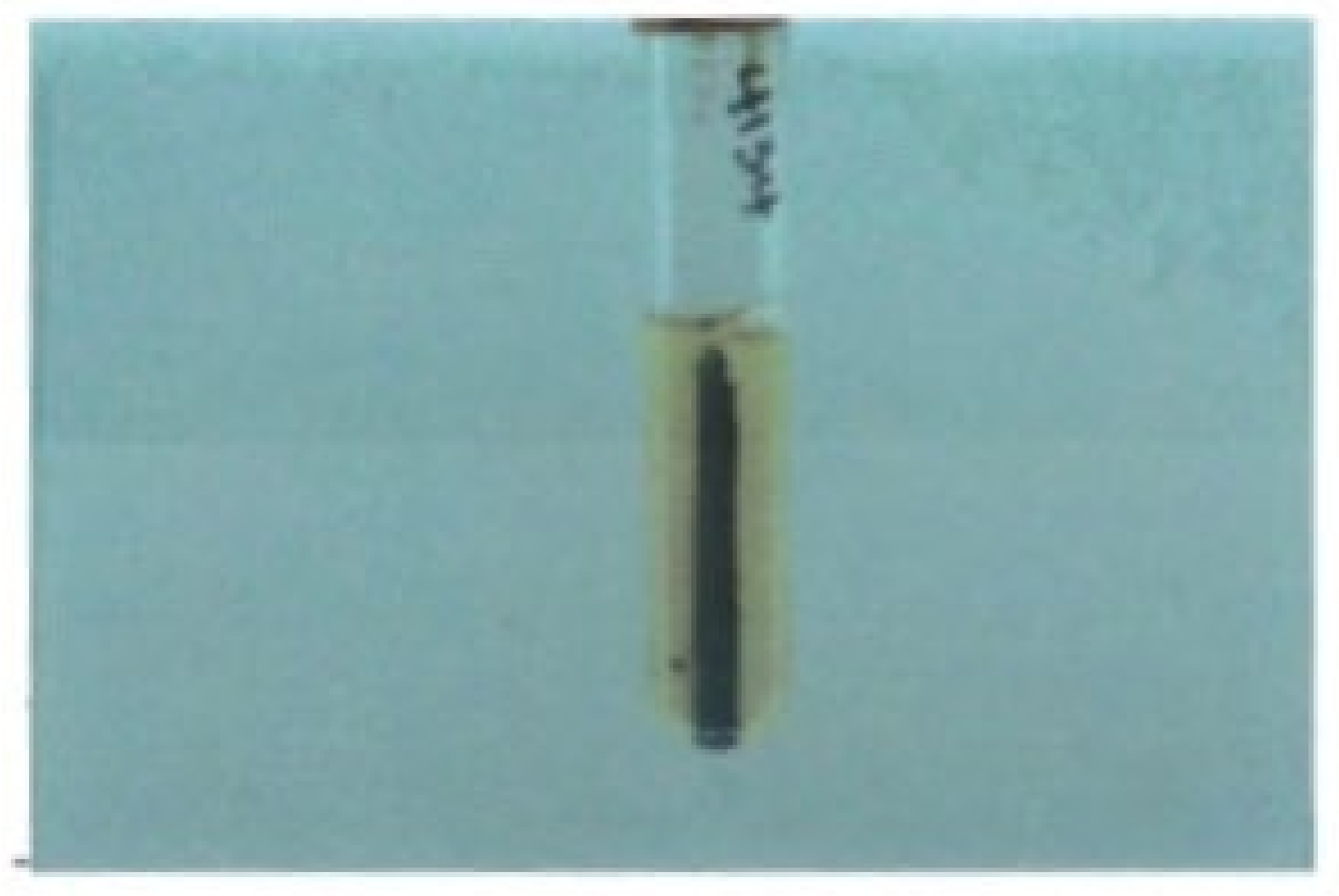 Microorganisms 12 01031 g003 Microorganisms 12 01031 g003