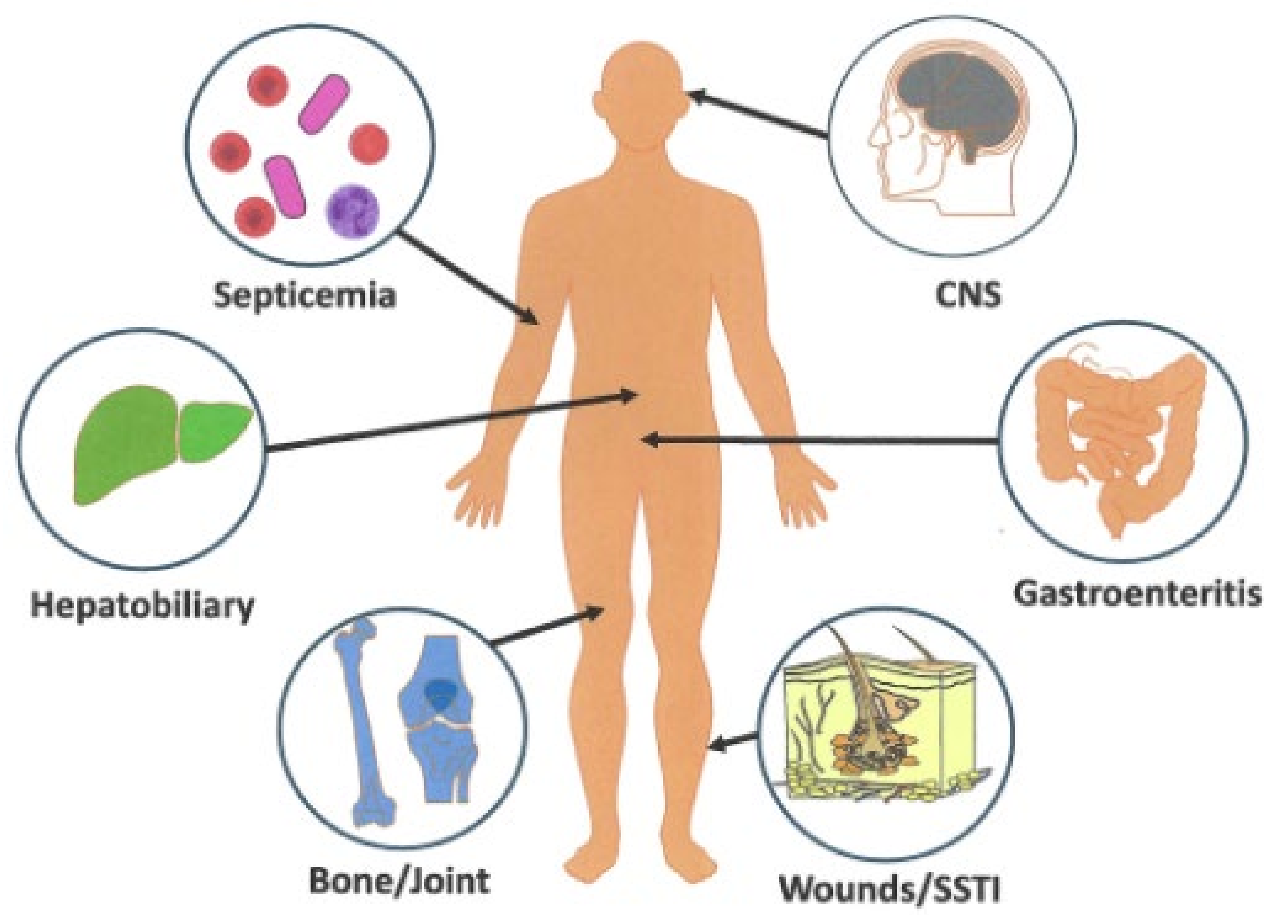 Microorganisms 12 01031 g004 Microorganisms 12 01031 g004