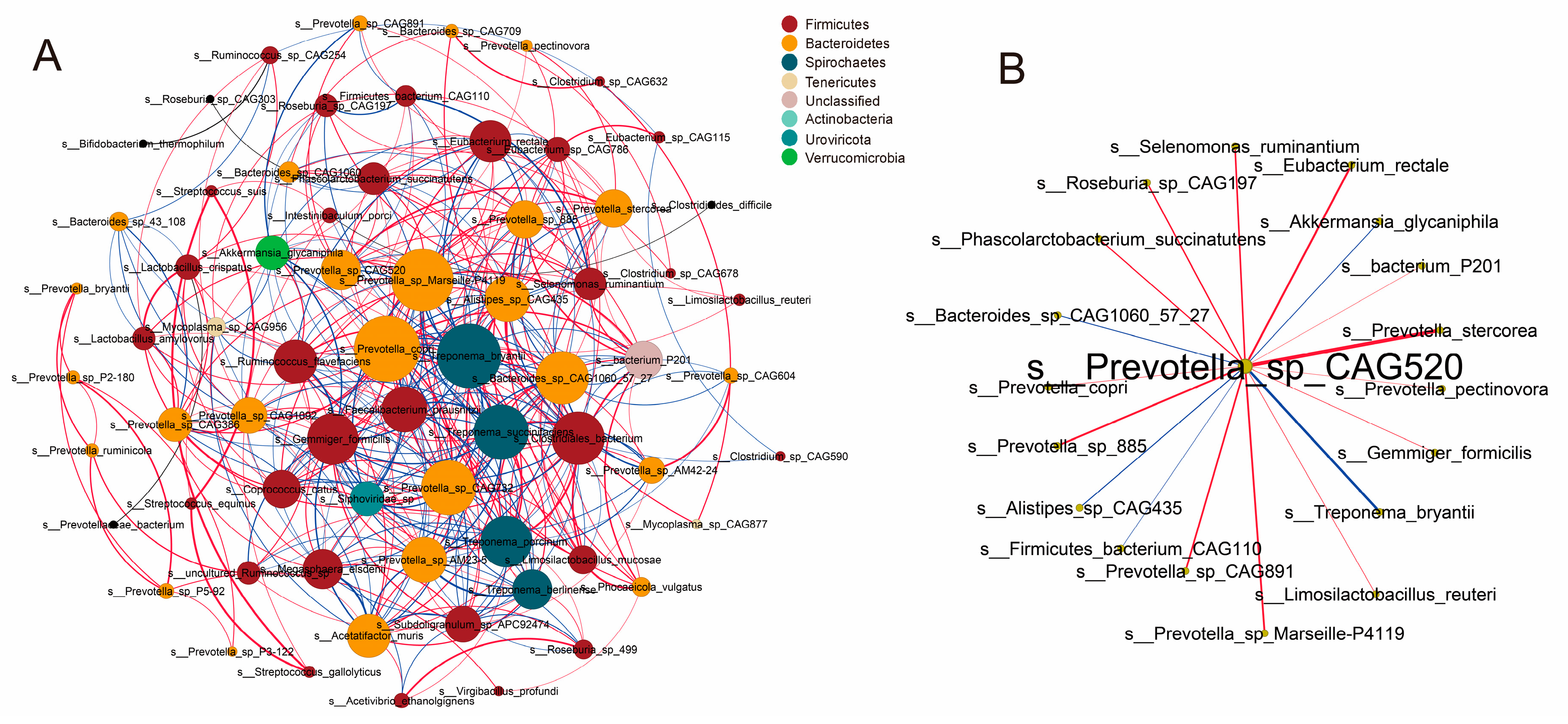 Microorganisms 12 01033 g005