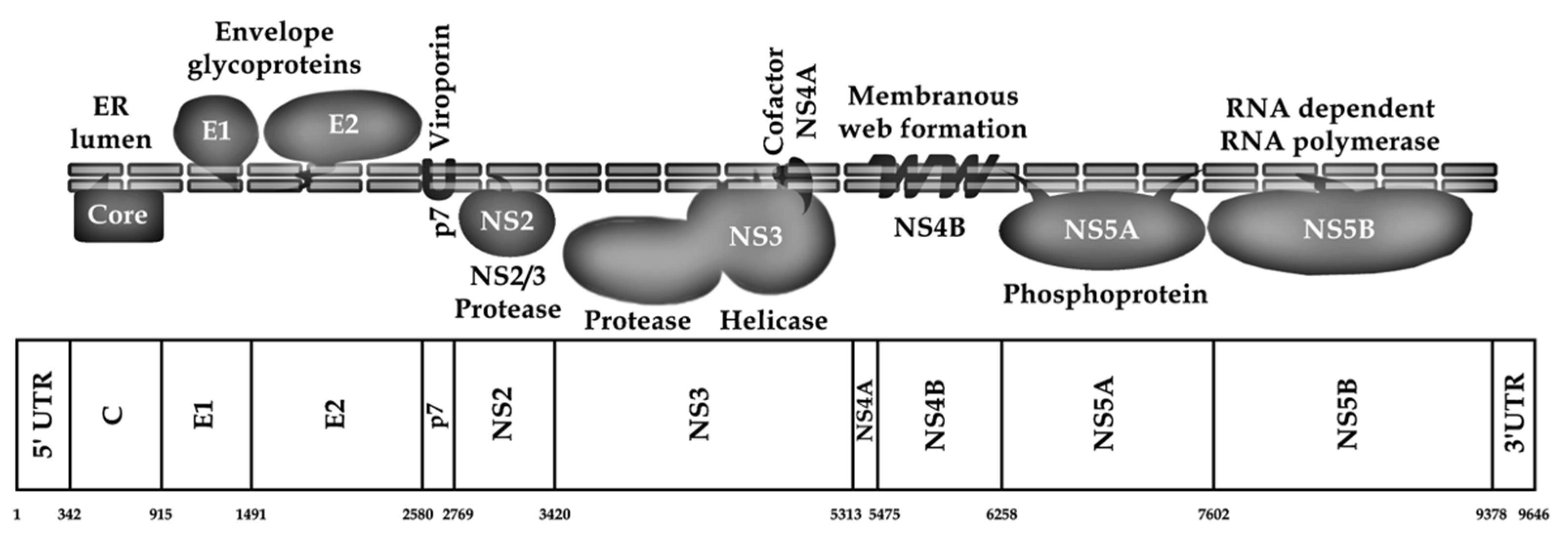 Microorganisms 12 01035 g002